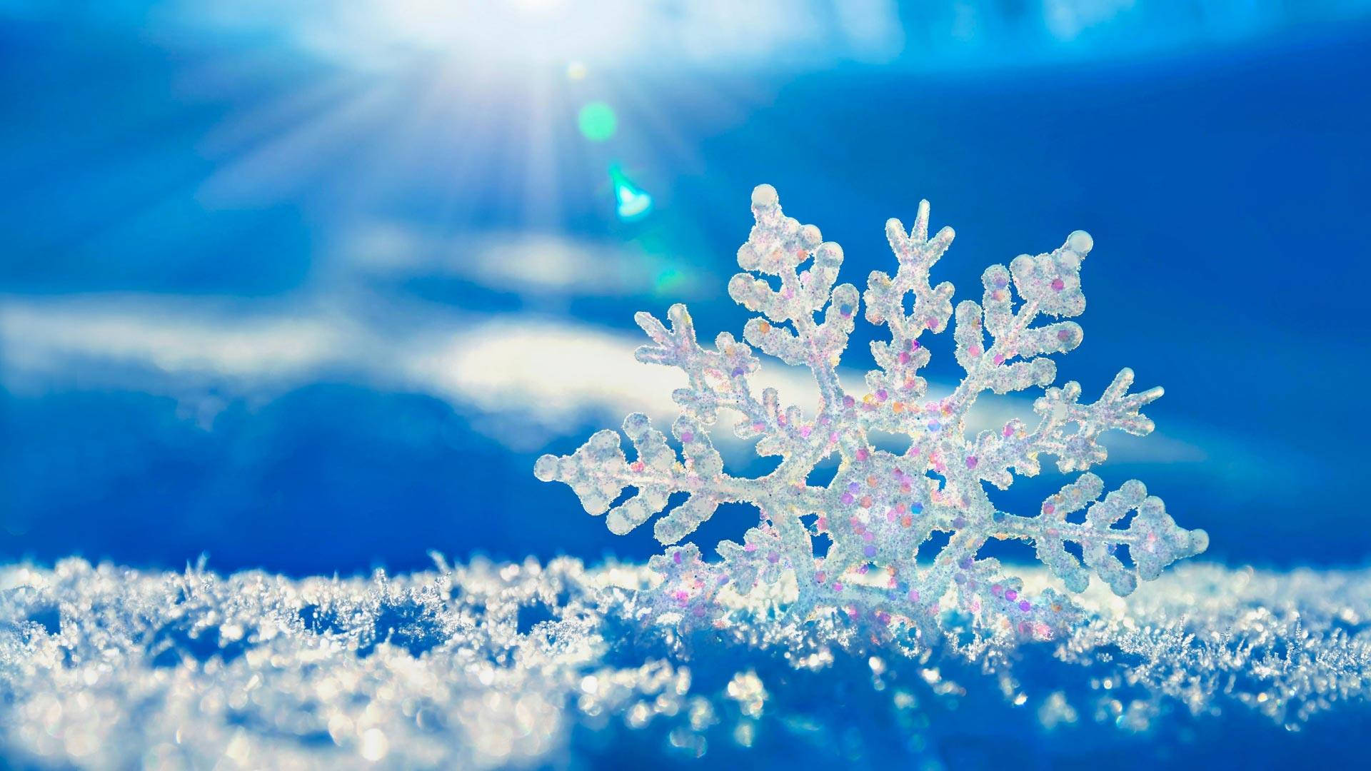 Windows 冬季 桌布 壁紙 — 一片精緻的雪花在陽光穿透的鮮豔藍色雪景背景下清晰閃耀。