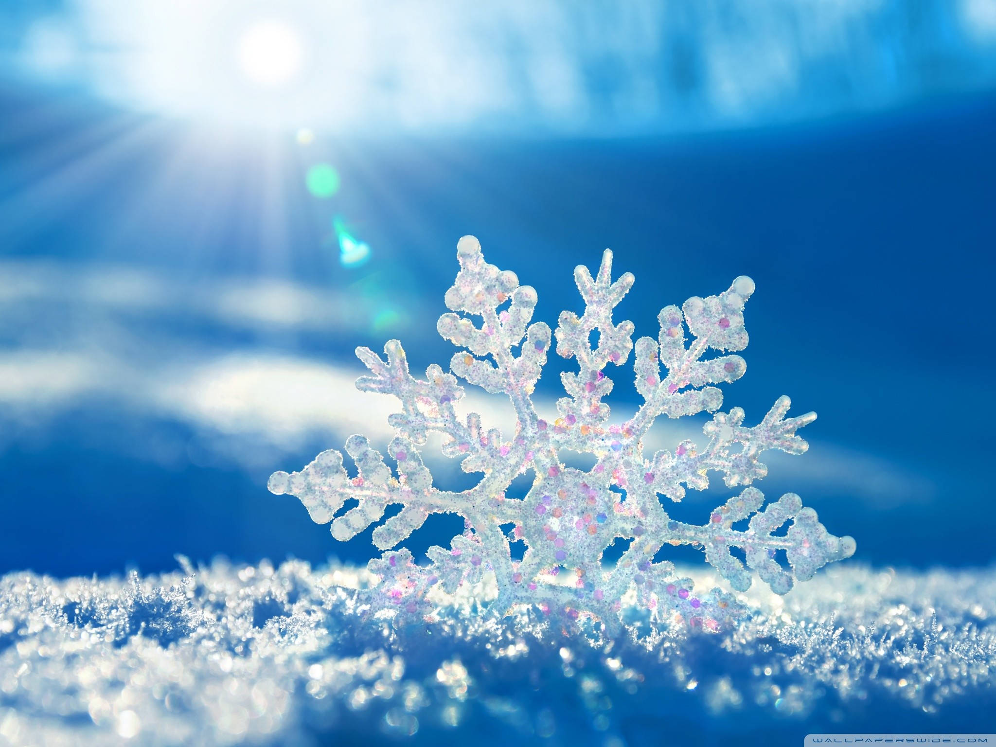 冬季桌面 桌布 壁紙 — 一片精緻的雪花在鮮豔的藍天和燦爛的陽光下清晰閃爍。
