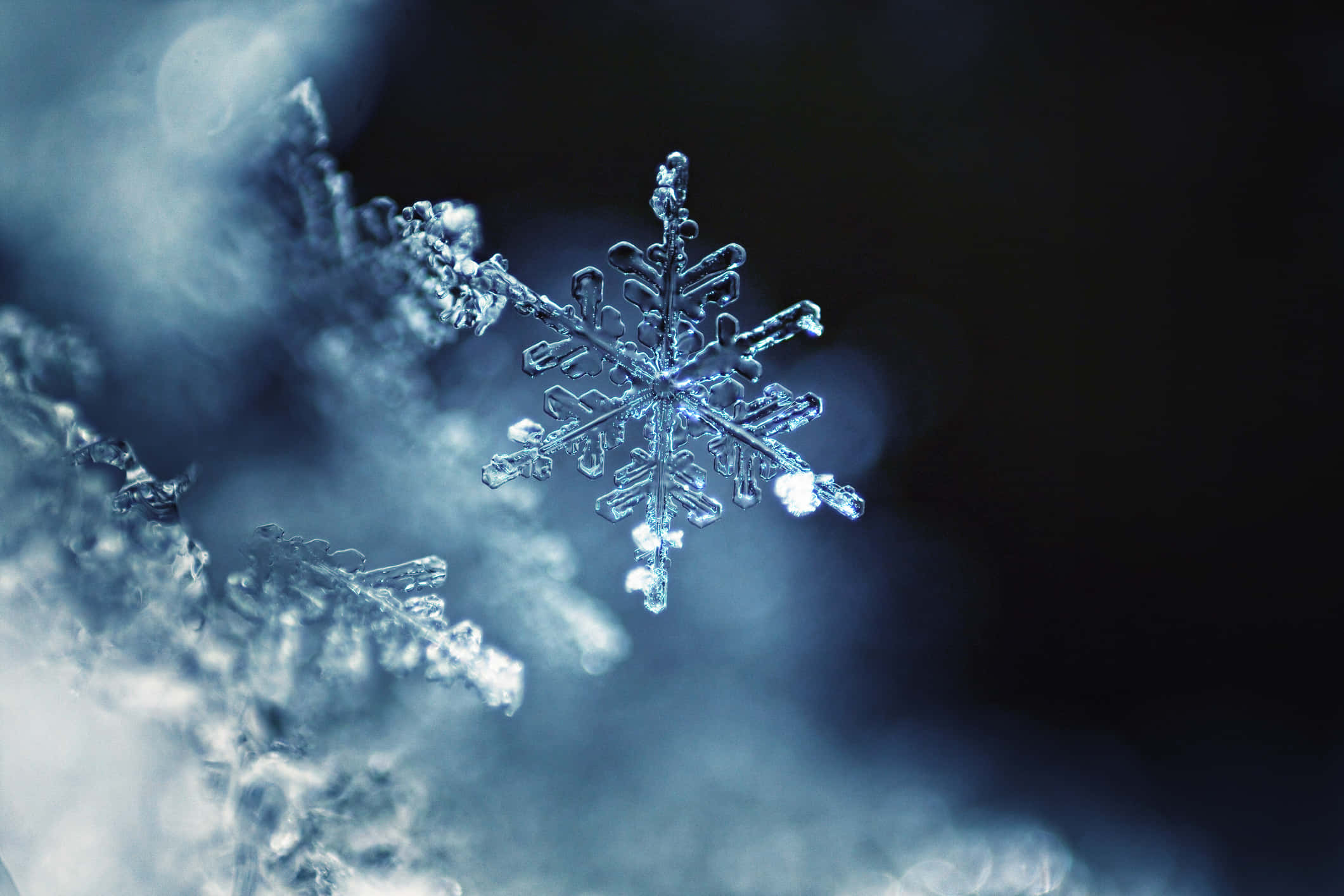 雪花 桌布 壁紙 — 一片精緻的雪花在黑暗模糊的背景中散發著冰藍色的光芒。