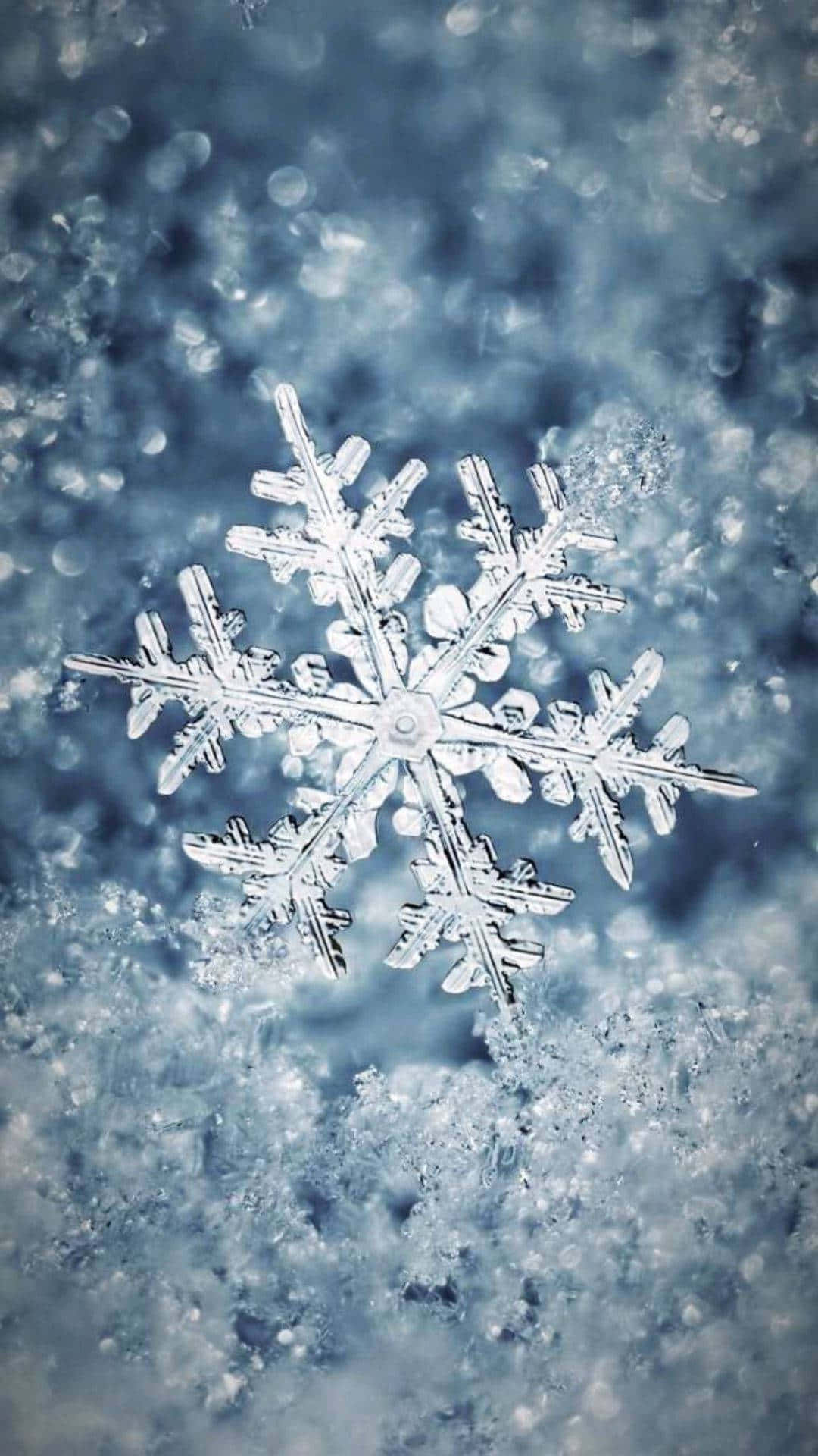 雪花 桌布 壁紙 — 一片精緻的雪花輕輕地落在柔軟的藍色雪面上，背景帶有散景效果。