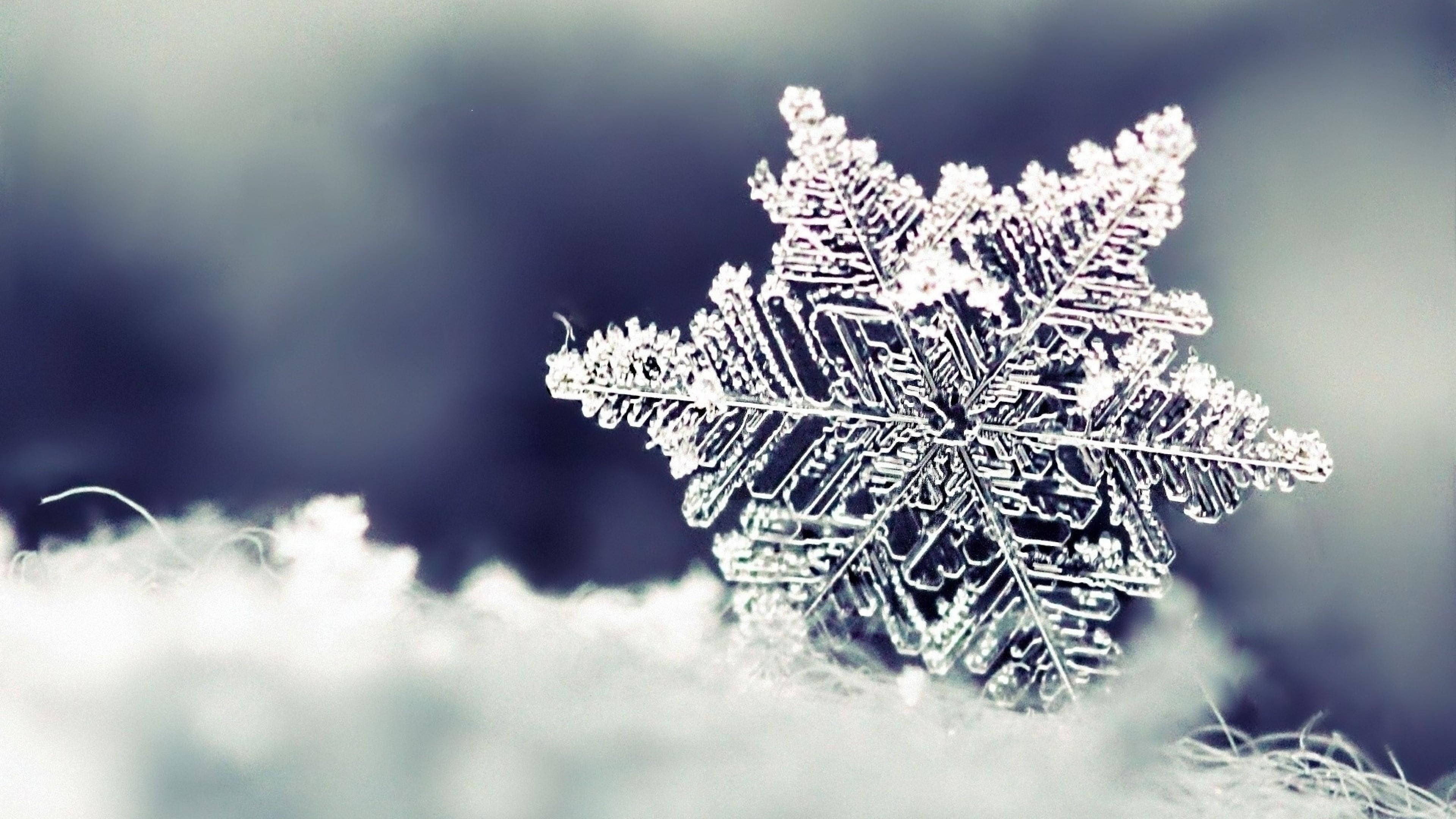雪花 桌布 壁紙 — 一片精緻的雪花輕輕地落在柔軟的雪床上，背景是模糊的冰藍色。