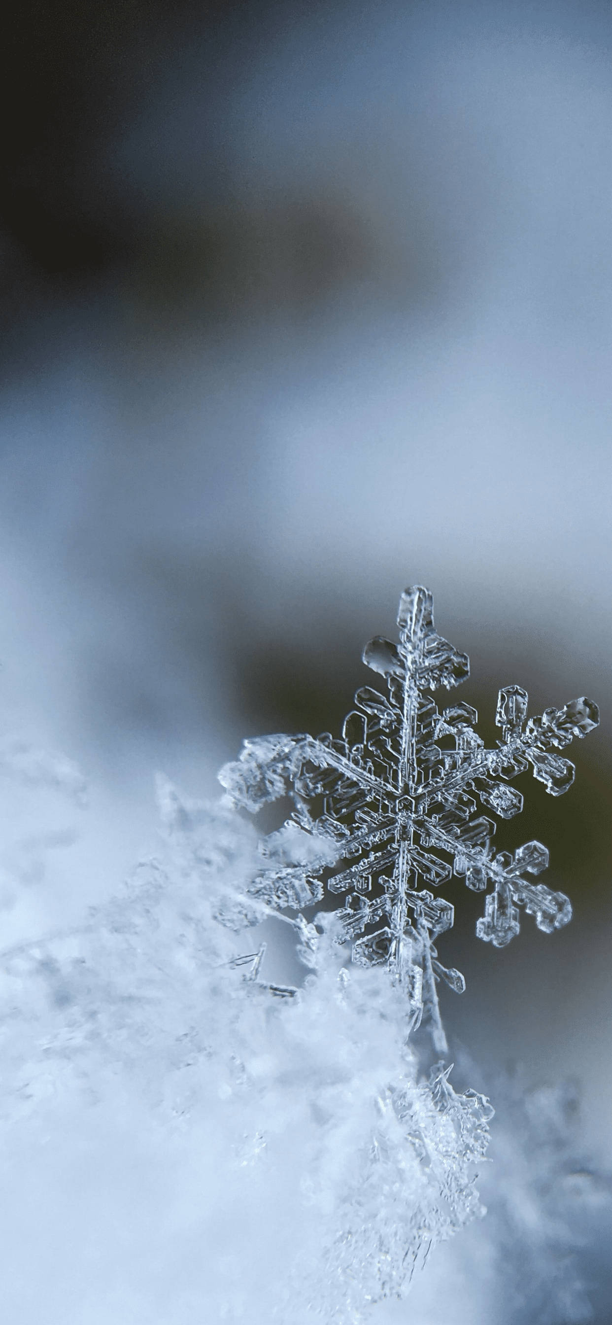 Snowflake iPhone 桌布 壁紙 — 一片精緻的雪花輕輕地落在雪地上，背景是柔和的藍色模糊。