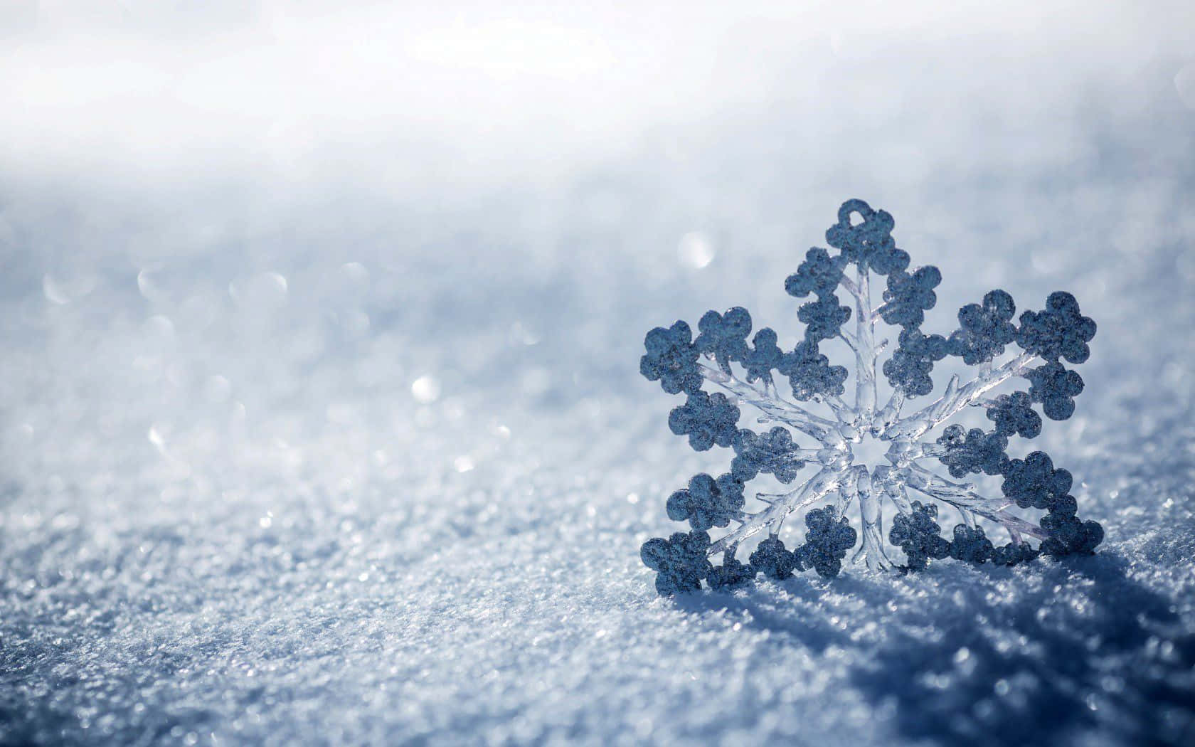 Best Winter 桌布 壁紙 — 一片精緻的雪花輕輕地躺在柔軟的雪床上，在明亮的冬日天空下。