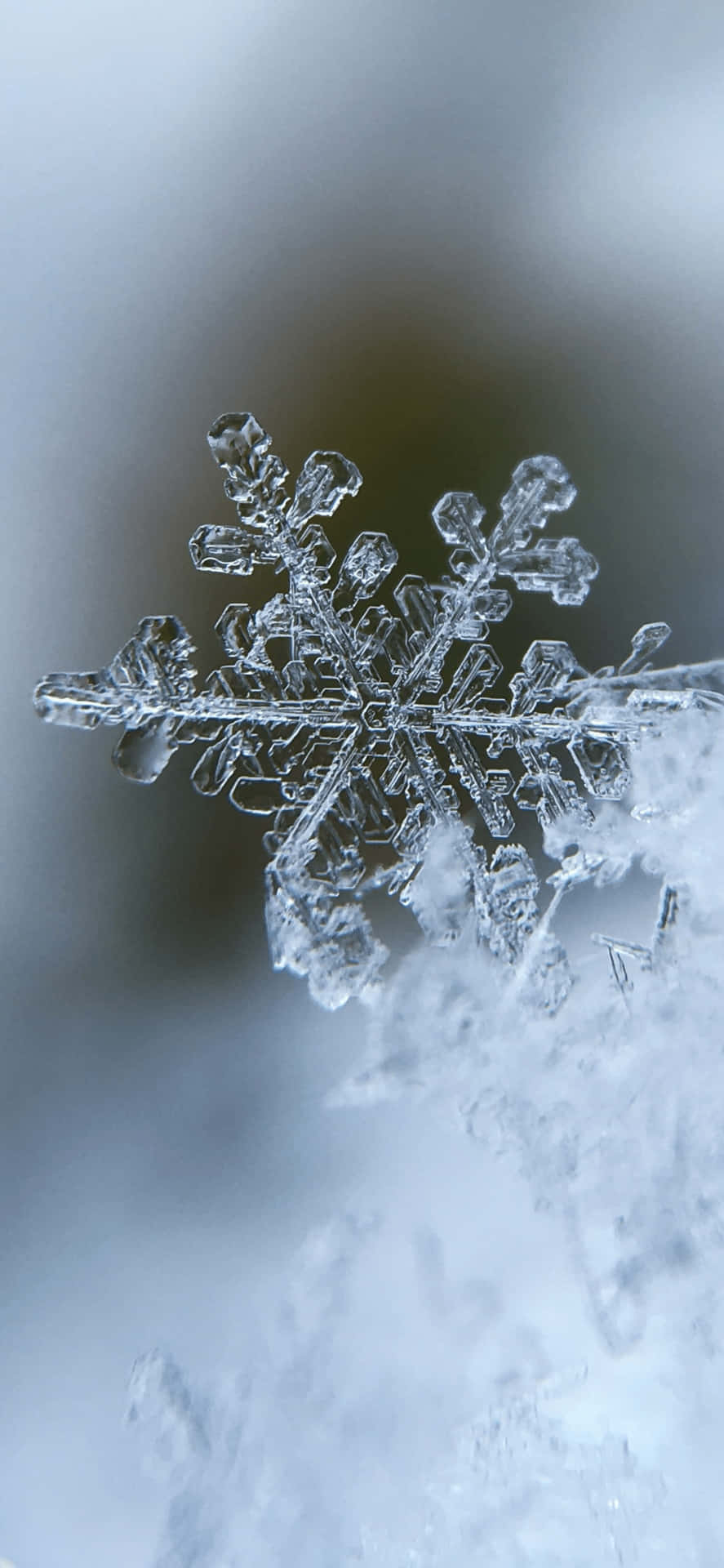 雪花 桌布 壁紙 — 一片精緻複雜的雪花，帶有細膩的晶體臂，輕輕落在柔軟的雪地上，背景是模糊的冬日景色。