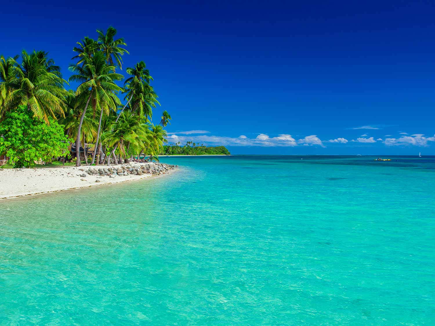 Fiji Beach 桌布 壁紙 — 一片純淨的熱帶海灘，碧綠的海水和茂密的棕櫚樹在充滿活力的藍天下。