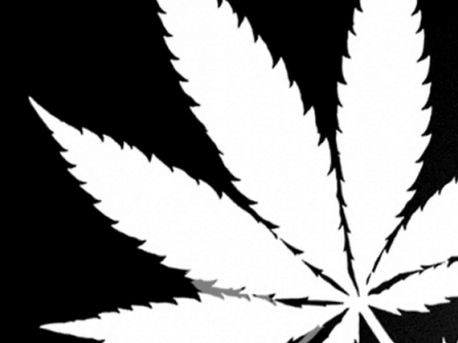 壁紙 — 一片純白色的大麻葉剪影，與純黑色背景形成強烈對比。