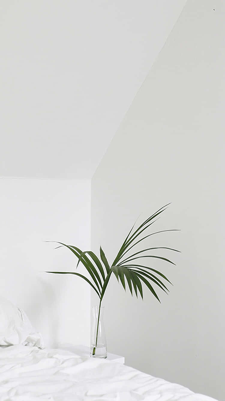 Soft White Aesthetic 桌布 壁紙 — 一片綠色棕櫚葉放在透明玻璃花瓶中，置於白色床上，背景是簡約的白色牆壁。