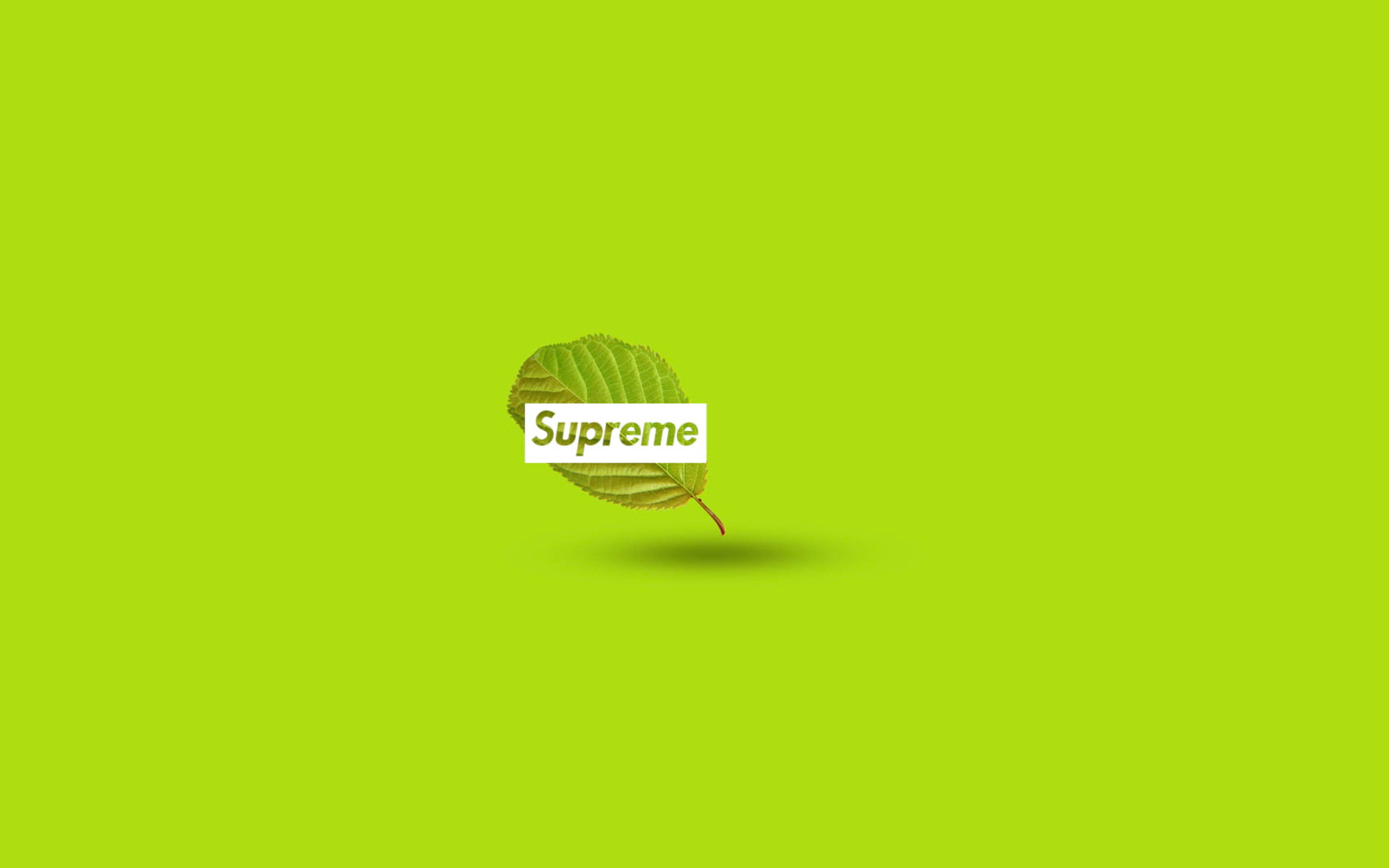 超屌 Supreme 桌布 壁紙 — 一片綠色葉子，中央有一個白色Supreme標誌，背景是充滿活力的萊姆綠色。