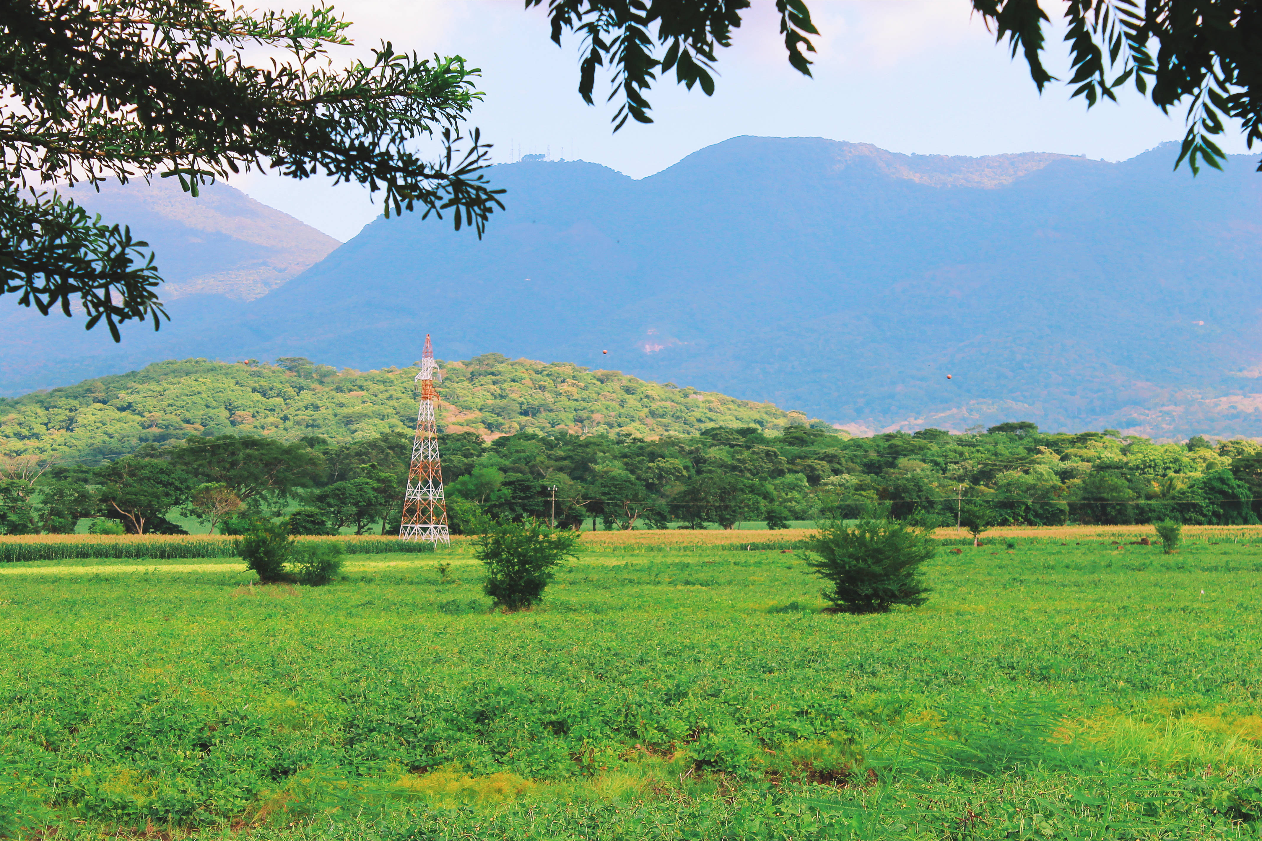El Salvador 桌布 壁紙 — 一片翠綠的田野，被樹枝框住，遠處有山脈和一座高聳的通訊塔，天空晴朗。