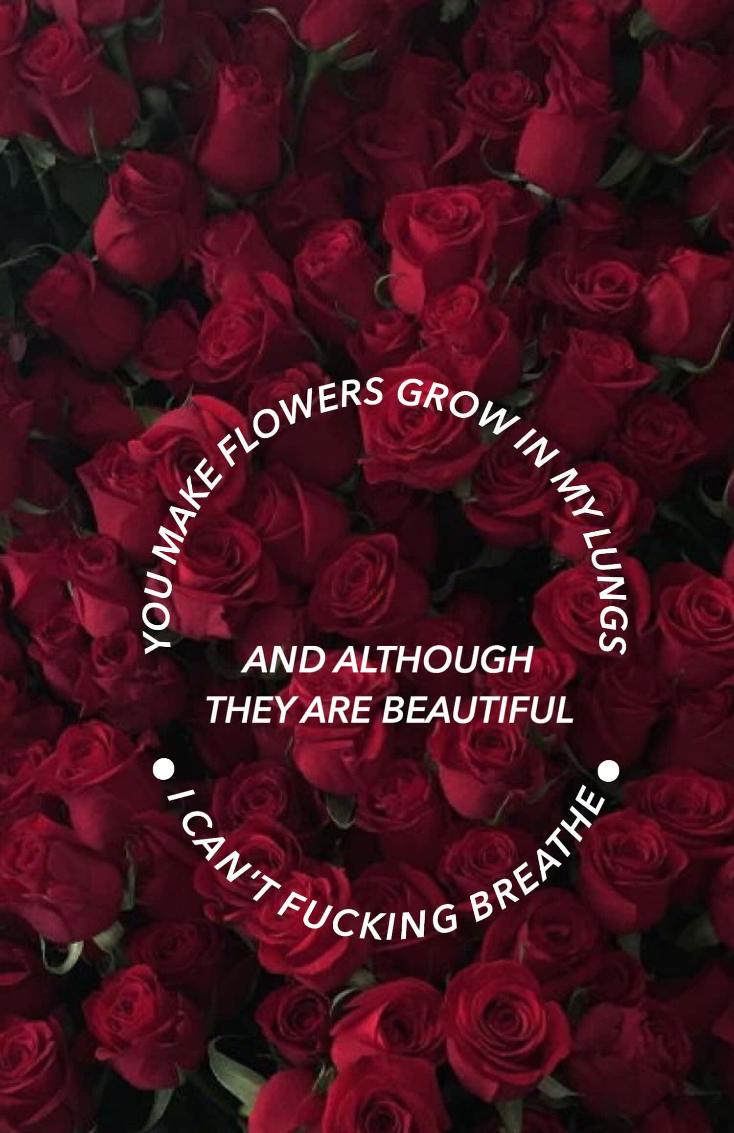 Red Rose Aesthetic 桌布 壁紙 — 一片茂密的深紅玫瑰田，上面覆蓋著粗體白色文字，宣告浪漫的強烈情感。