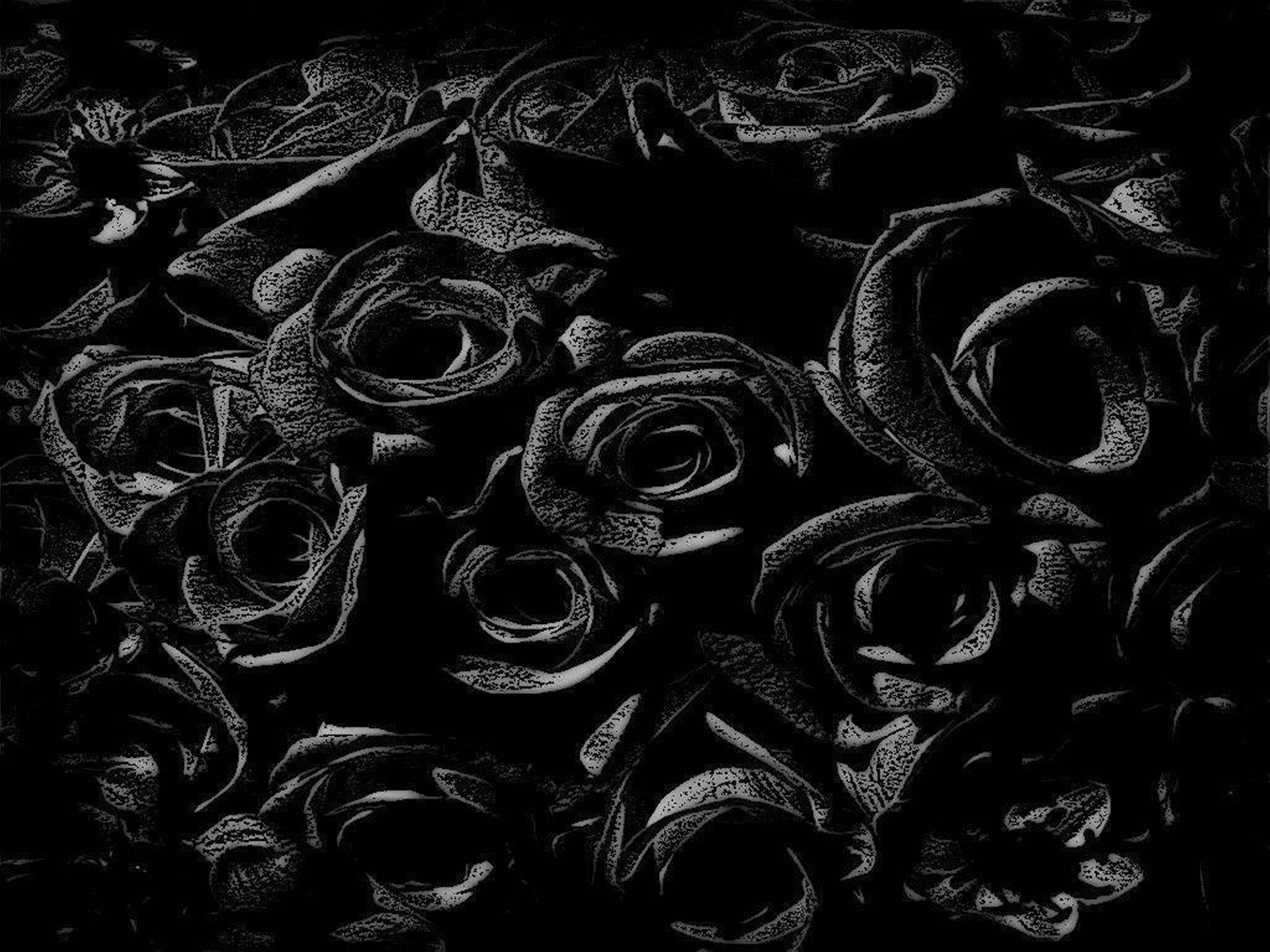 Rose Flower 桌布 壁紙 — 一片茂密的玫瑰園，以鮮明的黑白呈現，並以複雜的線條藝術在深色背景上細緻描繪其花瓣。