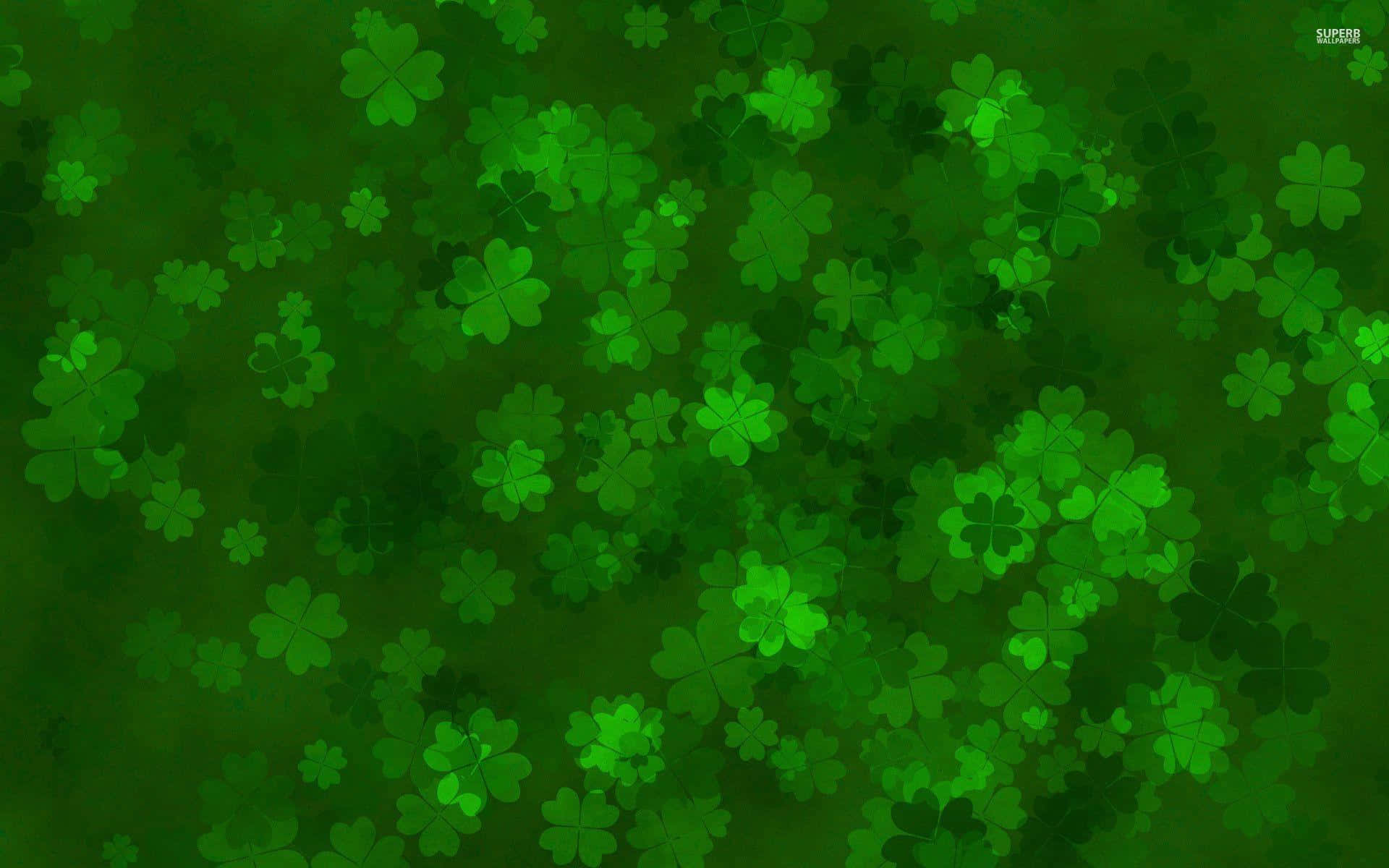 Shamrock 桌布 壁紙 — 一片茂密的發光綠色四葉草散落在深綠色背景上。