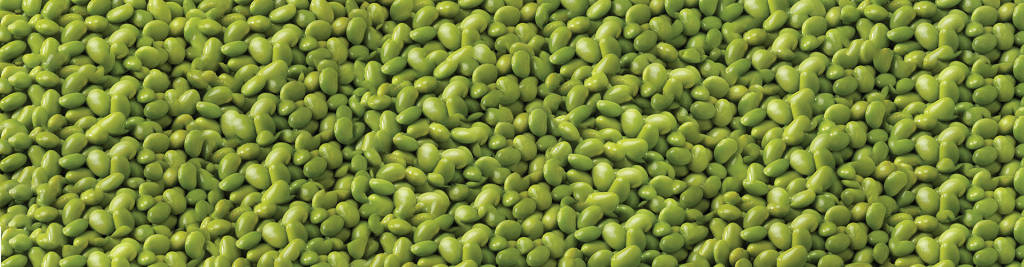 beans 桌布 壁紙 — 一片茂密的鮮綠色大豆田，以自然的特寫紋理填滿畫面。