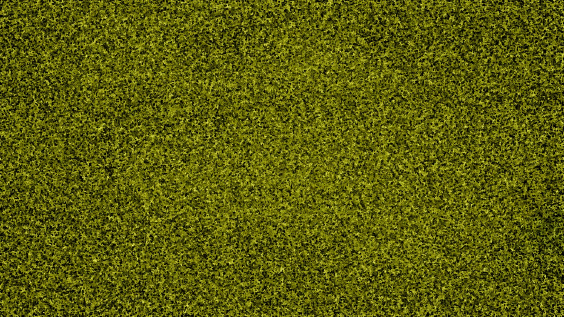 Green Aesthetic Laptop 桌布 壁紙 — 一片茂密的鮮綠色苔蘚在柔和自然光下形成了一塊質感豐富的地毯。