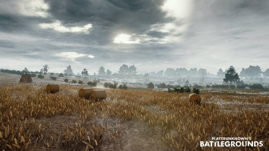 pubg 4K gaming 桌布 壁紙 — 一片荒涼的小麥田，在沉重的灰色天空下，散落著乾草捆和遠處的樹木，籠罩在霧氣中。