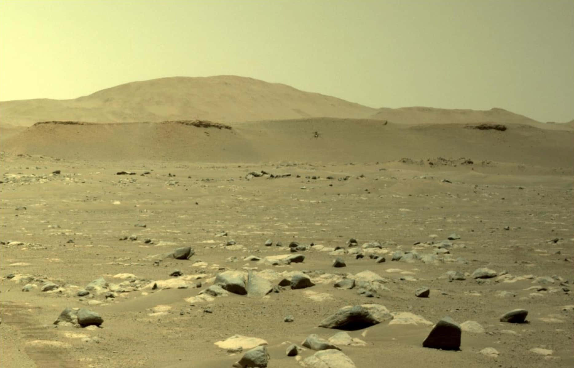 Mars Surface 桌布 壁紙 — 一片荒涼的火星地貌，散落著岩石，遠方有連綿起伏的山丘，籠罩在朦朧的橙色天空下。