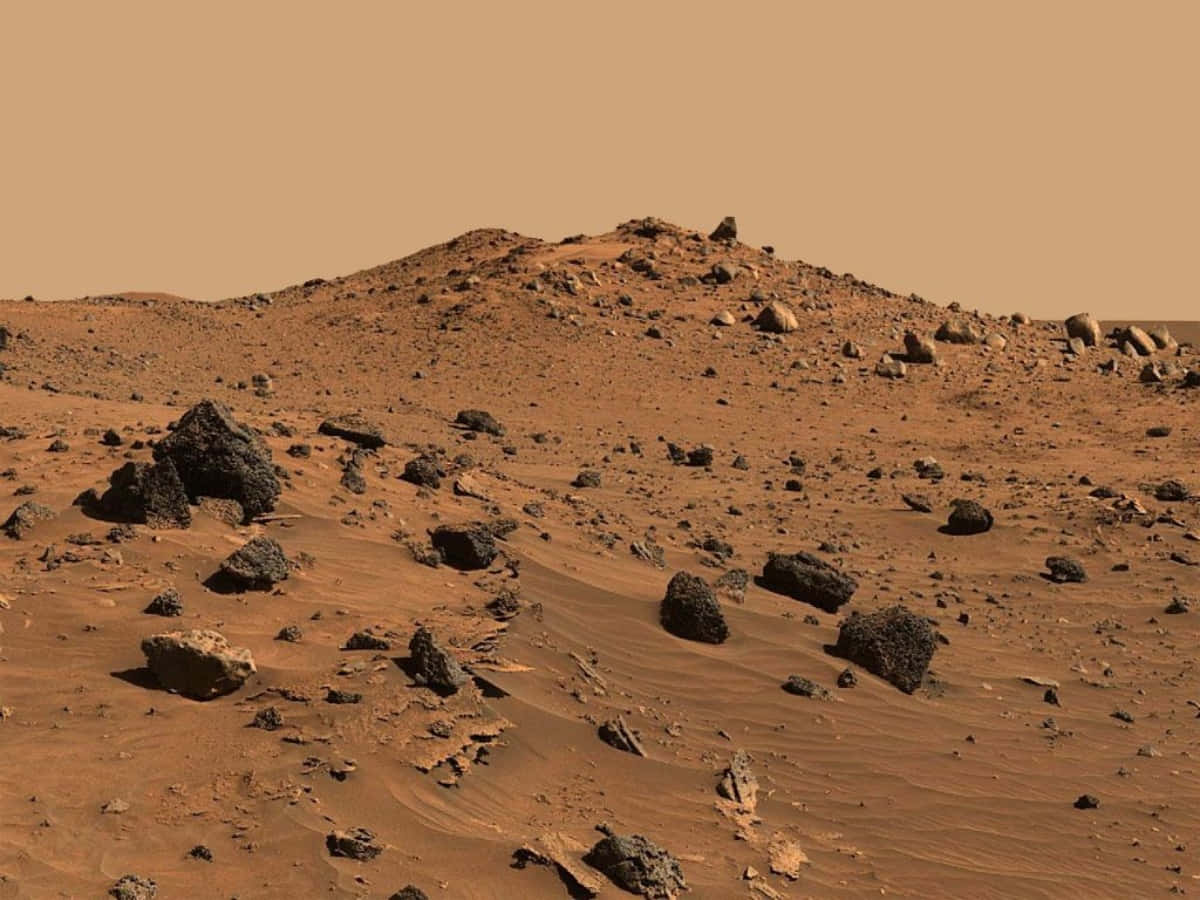 Mars Surface 桌布 壁紙 — 一片荒涼的火星地貌，有鏽色沙丘和散落的深色岩石，籠罩在朦朧的橙色天空下。