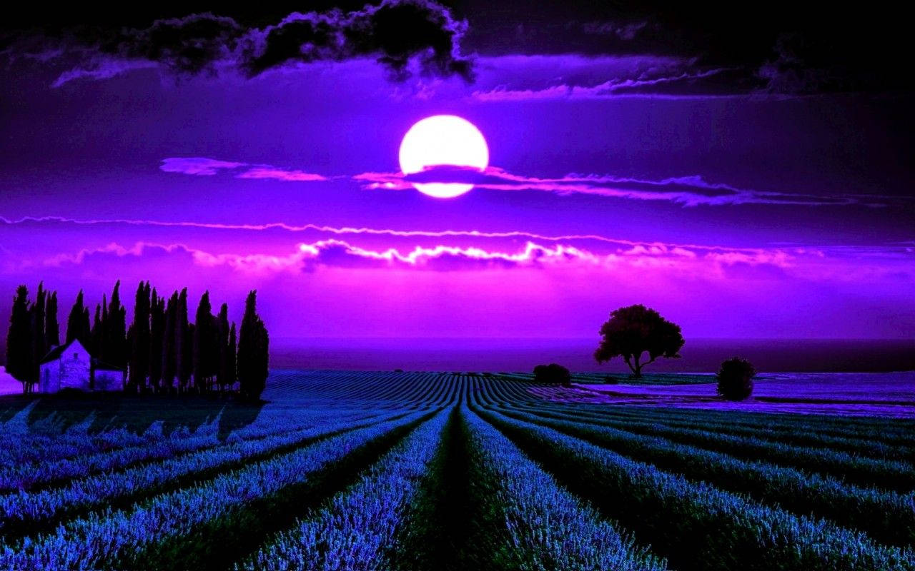 Lavender 桌布 壁紙 — 一片薰衣草田上超現實的紫色日落，伴隨著明亮的月亮和樹木與房屋的剪影。