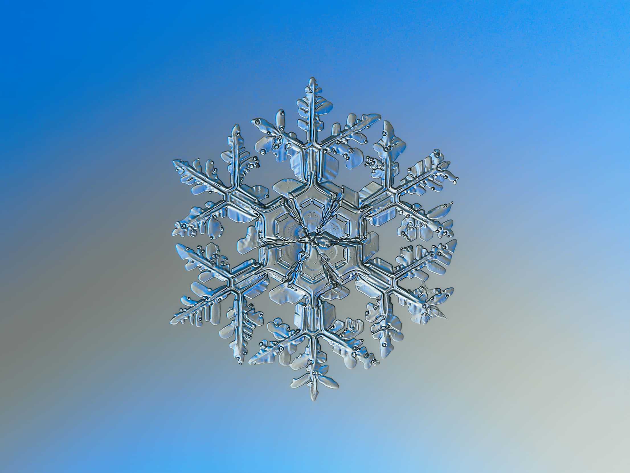 碎形 桌布 壁紙 — 一片複雜的冰晶雪花在柔和漸變的藍天下閃耀著冰冷的清晰度。