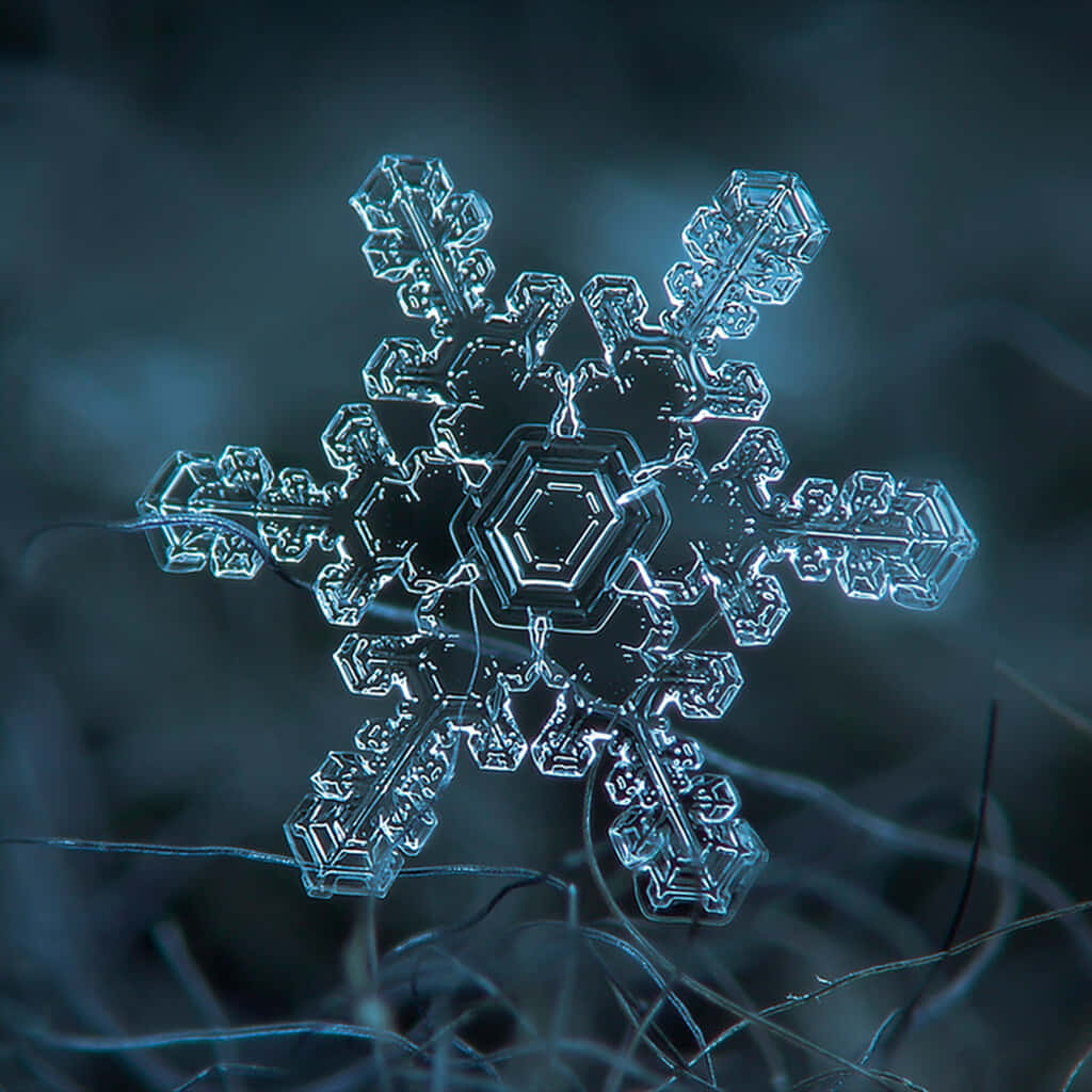 雪花 桌布 壁紙 — 一片複雜的冰晶雪花在黑暗模糊的背景中發出冰藍色的光芒。
