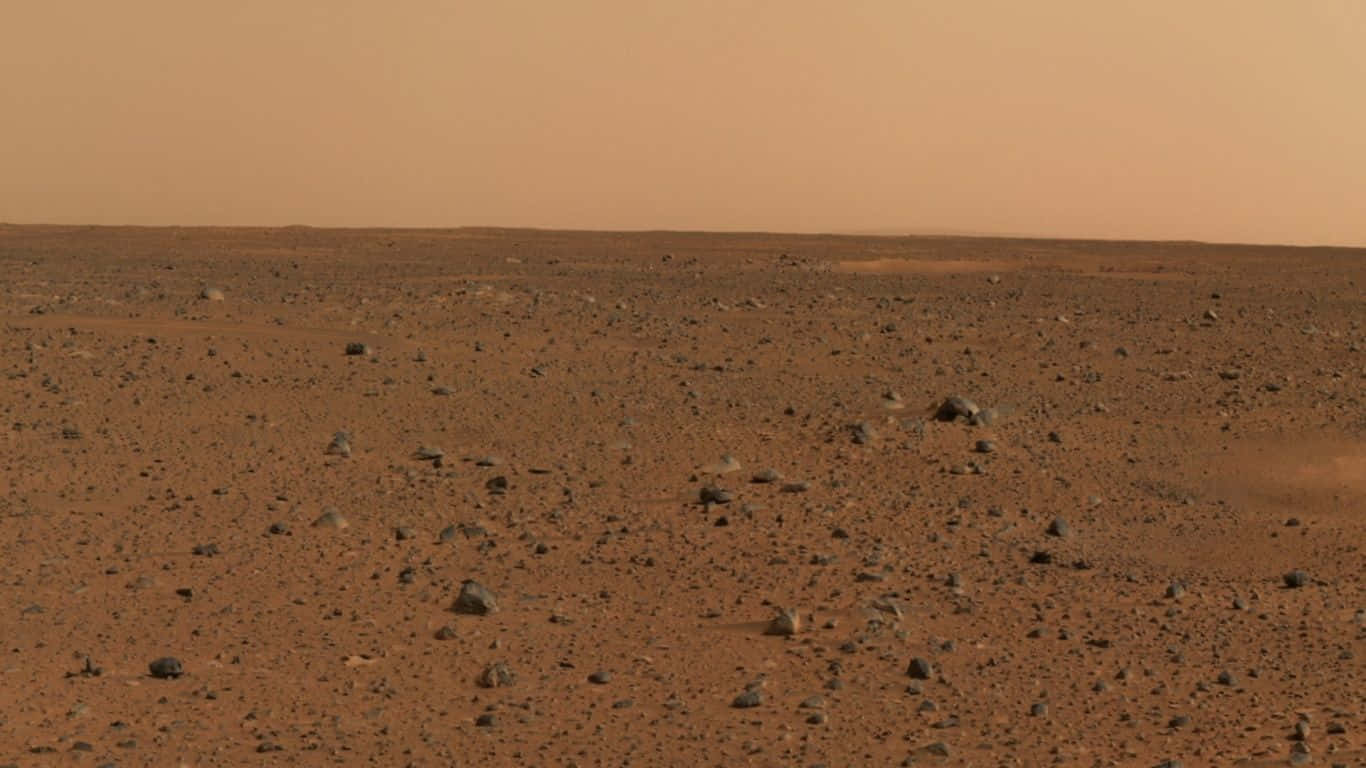 Mars Landscape 桌布 壁紙 — 一片貧瘠的紅色火星景觀在朦朧的橙色天空下無盡延伸，點綴著散落的岩石。