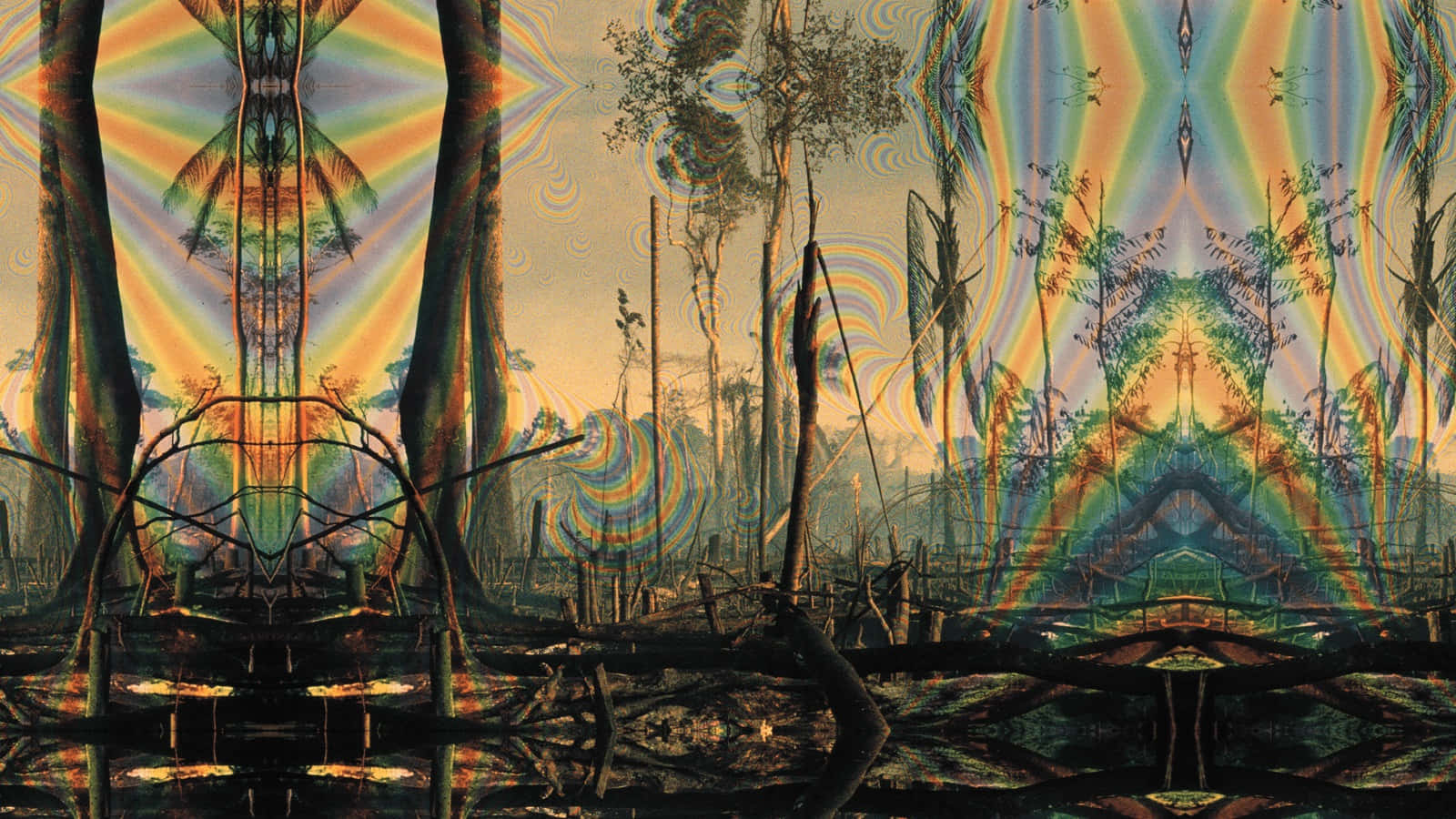 Psychedelic Nature 桌布 壁紙 — 一片超現實的森林，鏡面般的樹木和絢麗的彩虹光束營造出夢幻般的迷幻氛圍。