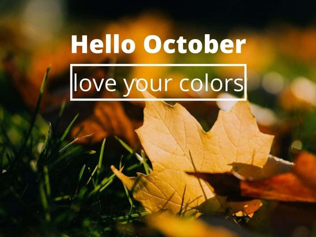 Hello October With Pumpkin 桌布 壁紙 — 一片金色楓葉躺在綠草上，溫暖的陽光突顯其葉脈，並有文字「你好十月，愛你的色彩」。