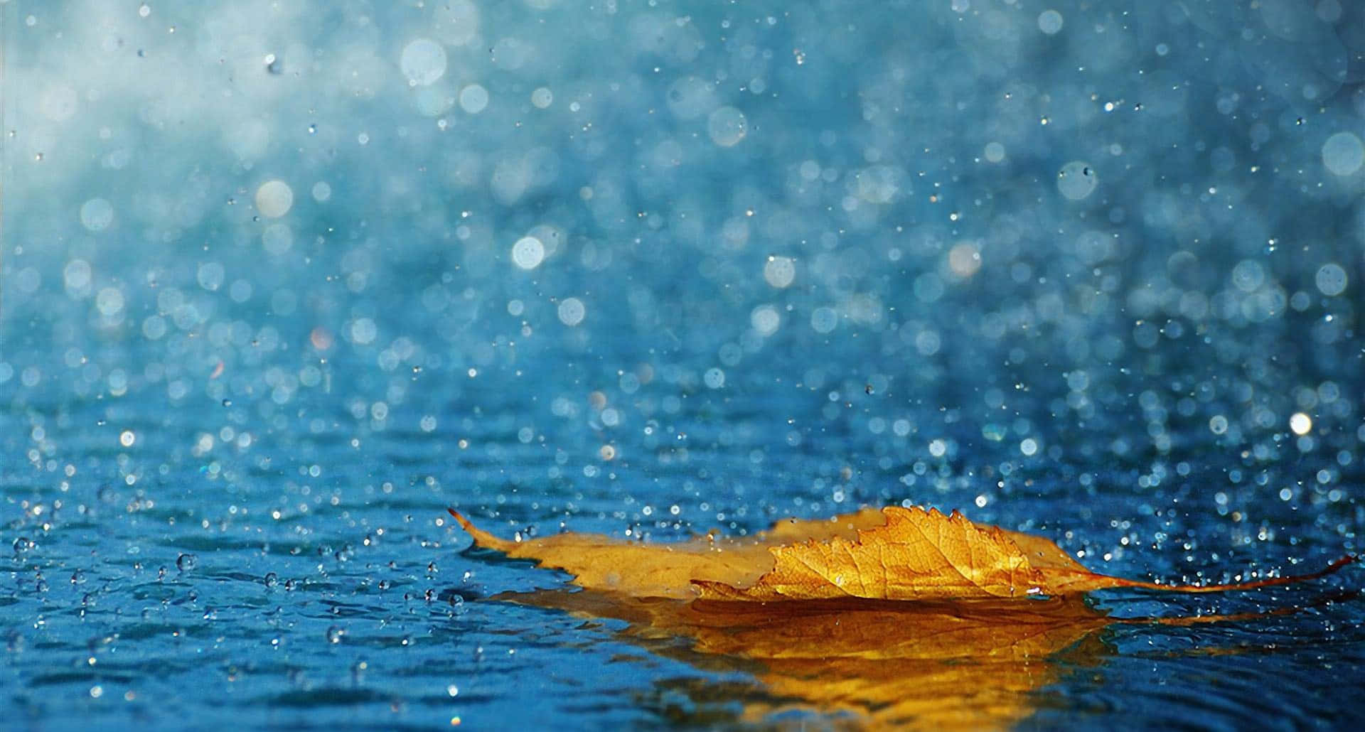 1920X1080 桌布 壁紙 — 一片金色秋葉靜靜漂浮在充滿活力的藍色水面上，點綴著閃閃發光的水滴。