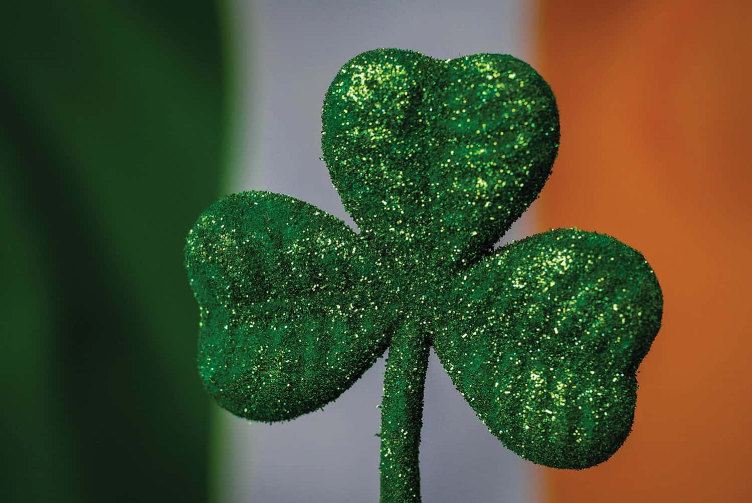 St Patrick's Day 桌布 壁紙 — 一片閃閃發光的綠色三葉草在模糊的愛爾蘭國旗背景下清晰對焦。