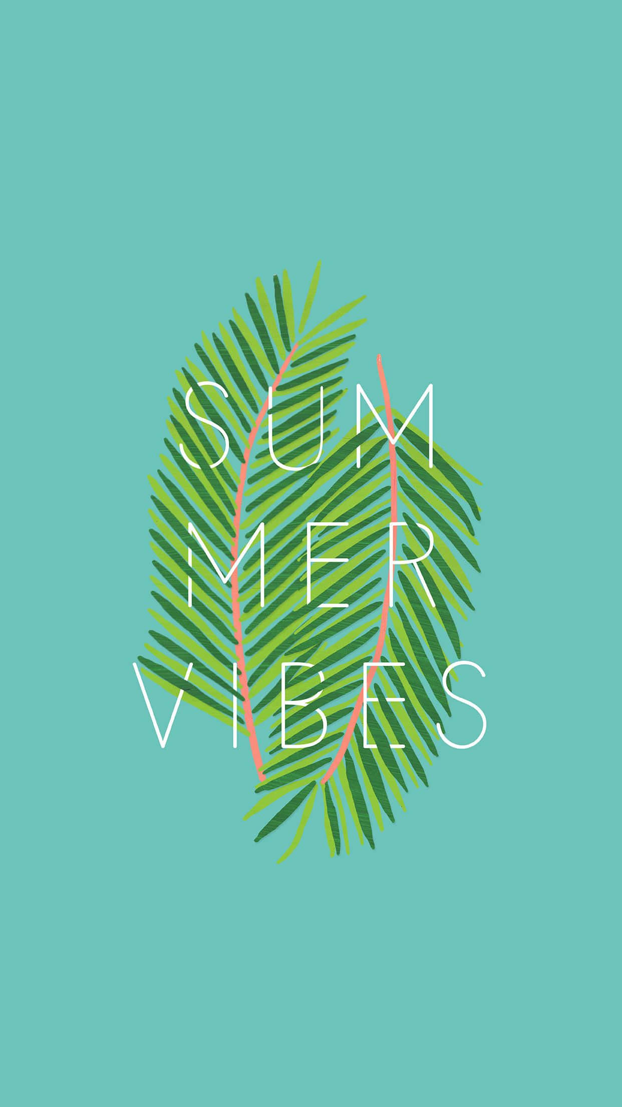 Summer iPhone 桌布 壁紙 — 一片風格化的棕櫚葉，上面有白色文字寫著 summer vibes，背景為純青色。