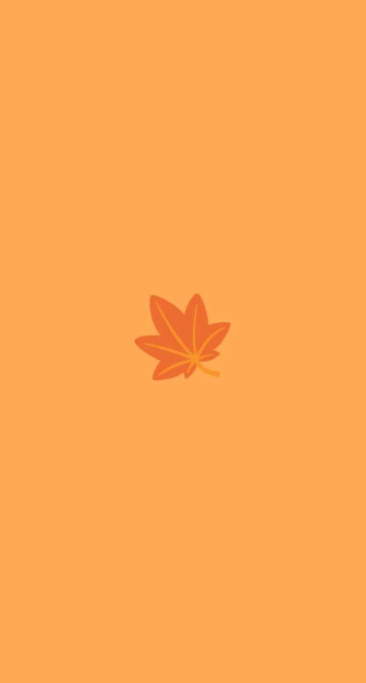Orange Aesthetic Phone 桌布 壁紙 — 一片風格化的橙色楓葉，居中在純色溫暖橙色背景上。