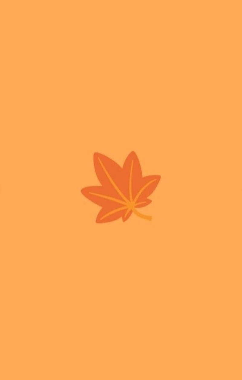 秋季 桌布 壁紙 — 一片風格化的橙色楓葉，居中於純色溫暖橙色背景上。