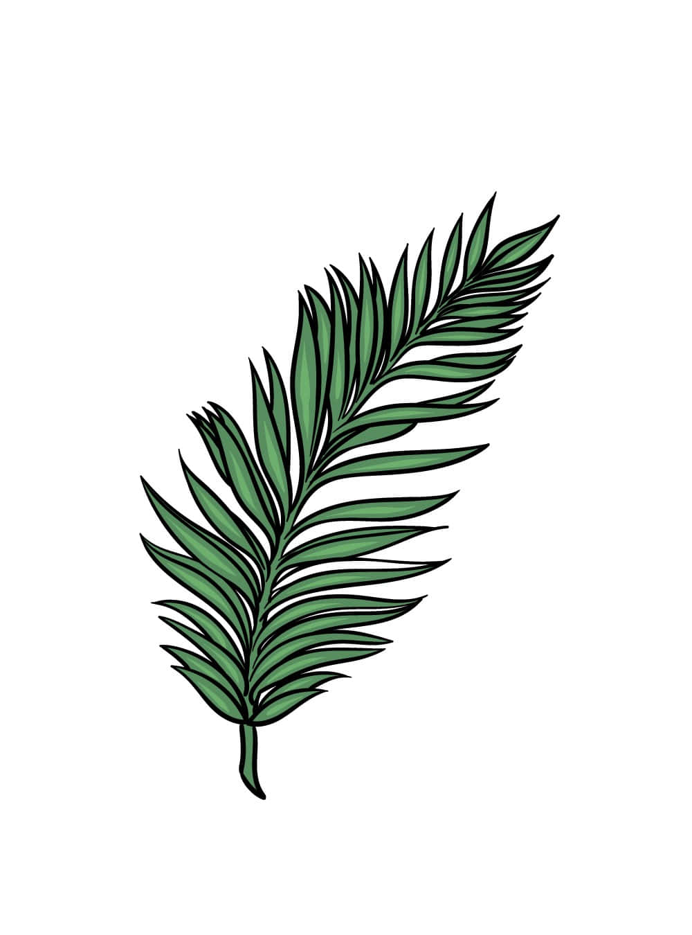 Palm Leaves 桌布 壁紙 — 一片風格化的綠色棕櫚葉，帶有粗黑的輪廓，孤立地立在潔白的背景上。