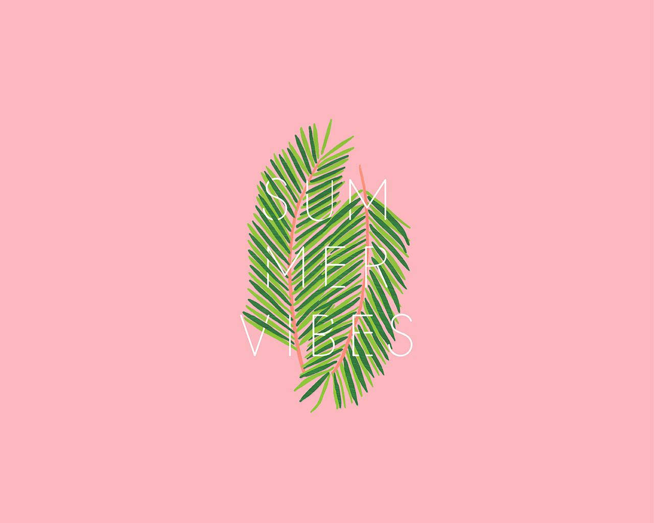 氛圍 桌布 壁紙 — 一片風格化的綠色棕櫚葉，白色文字 summer vibes 居中在柔和的粉紅色背景上。