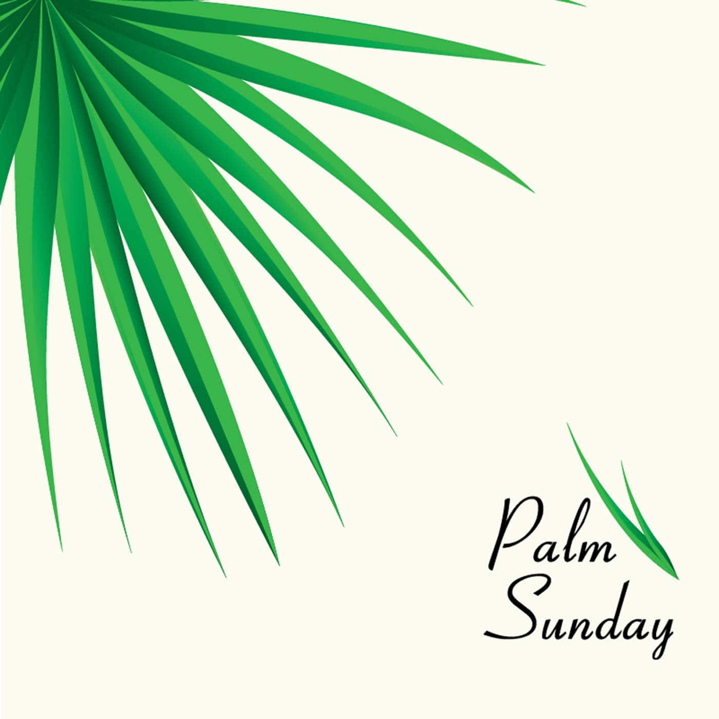 Palm Leaf 桌布 壁紙 — 一片風格化的綠色棕櫚葉以對角線框住奶油色背景，優雅的手寫文字寫著棕枝主日。