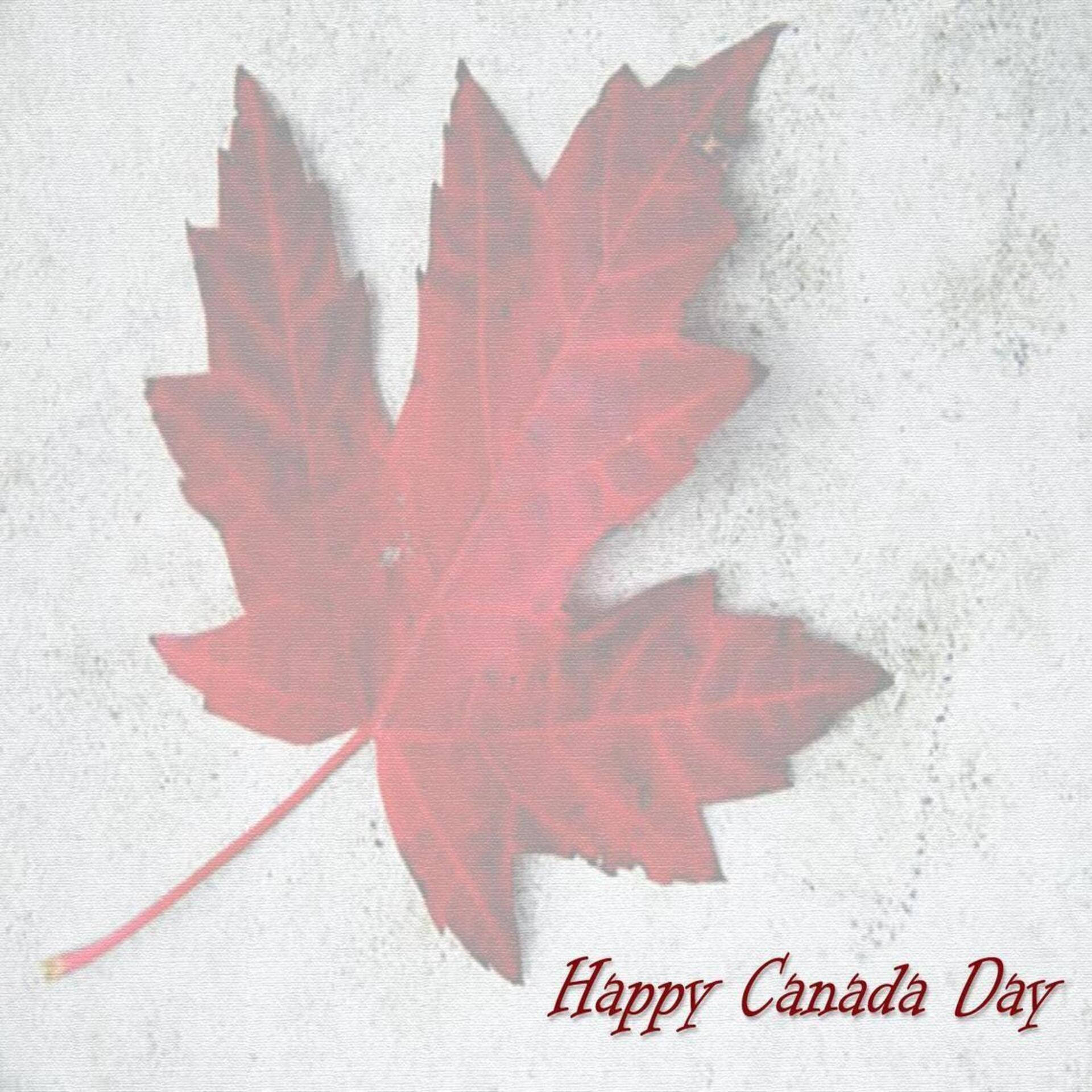 Canada Day 桌布 壁紙 — 一片鮮紅的楓葉放在有紋理的白色表面上，下方以相配的紅色寫著「Happy Canada Day」。