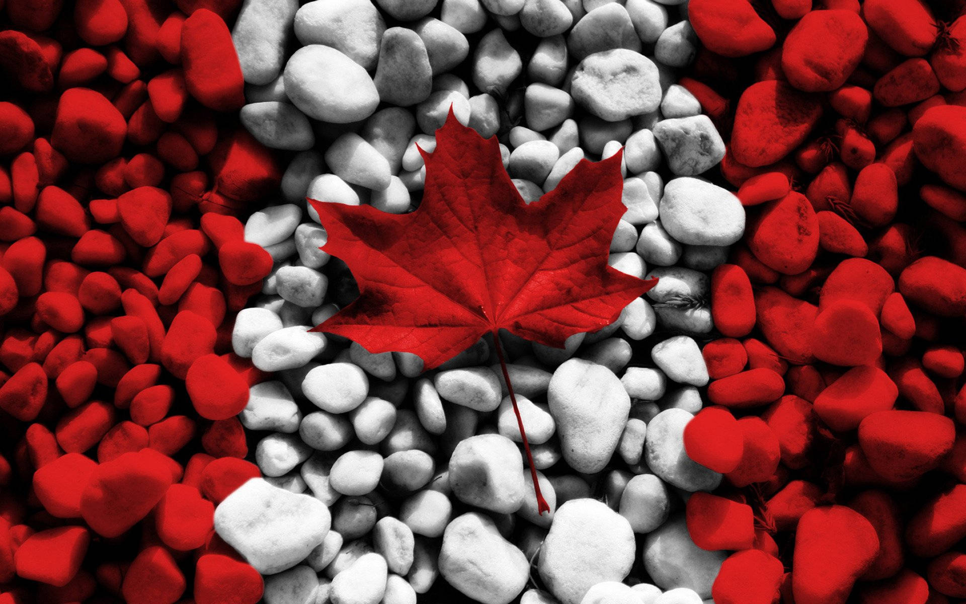 Canada Flag 桌布 壁紙 — 一片鮮紅的楓葉躺在白色石頭床上，兩側由紅色石頭組成加拿大國旗圖案。