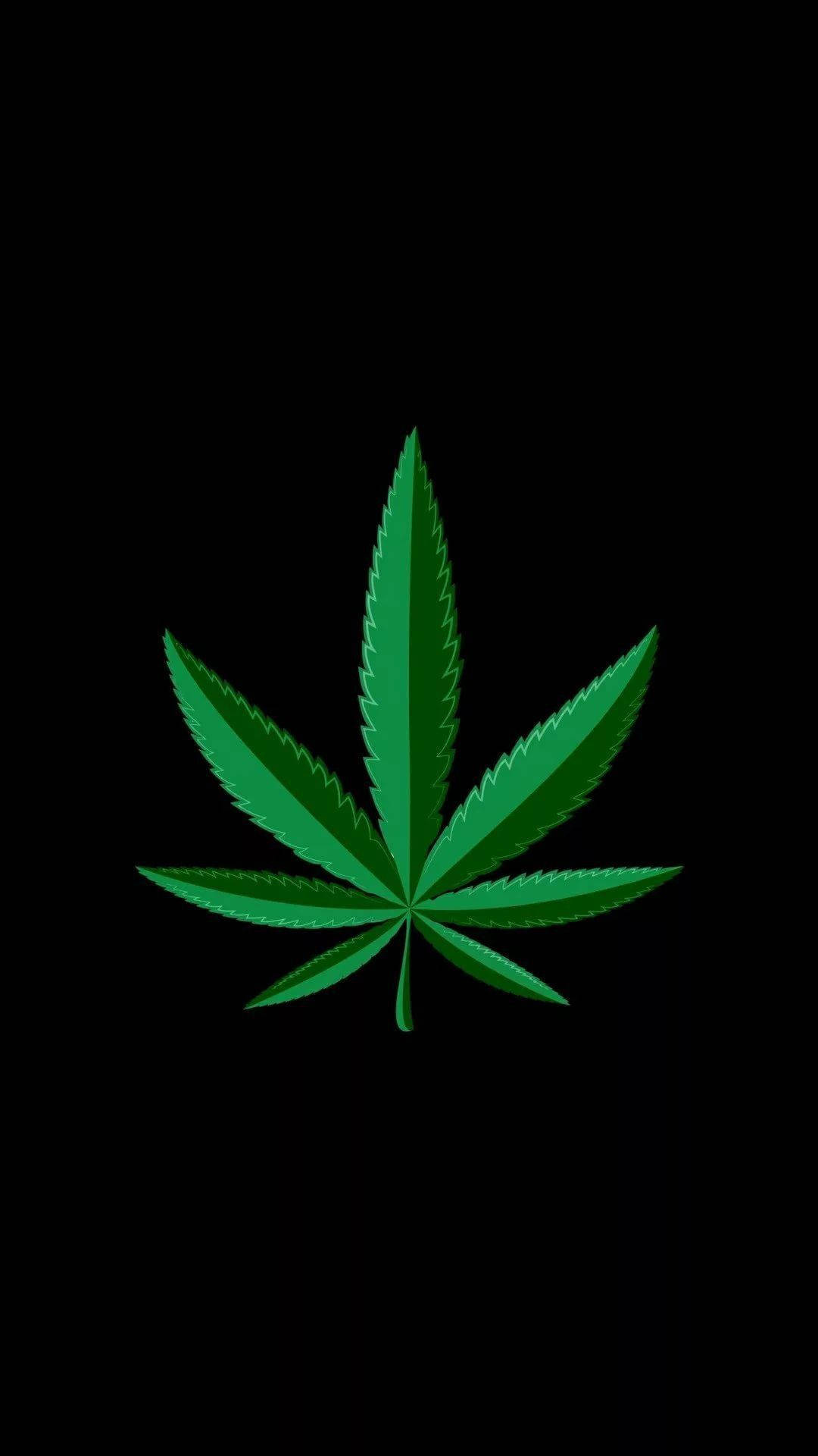 黑色 桌布 壁紙 — 一片鮮綠色的大麻葉，置於純黑色背景中央，邊緣鋒利呈鋸齒狀。