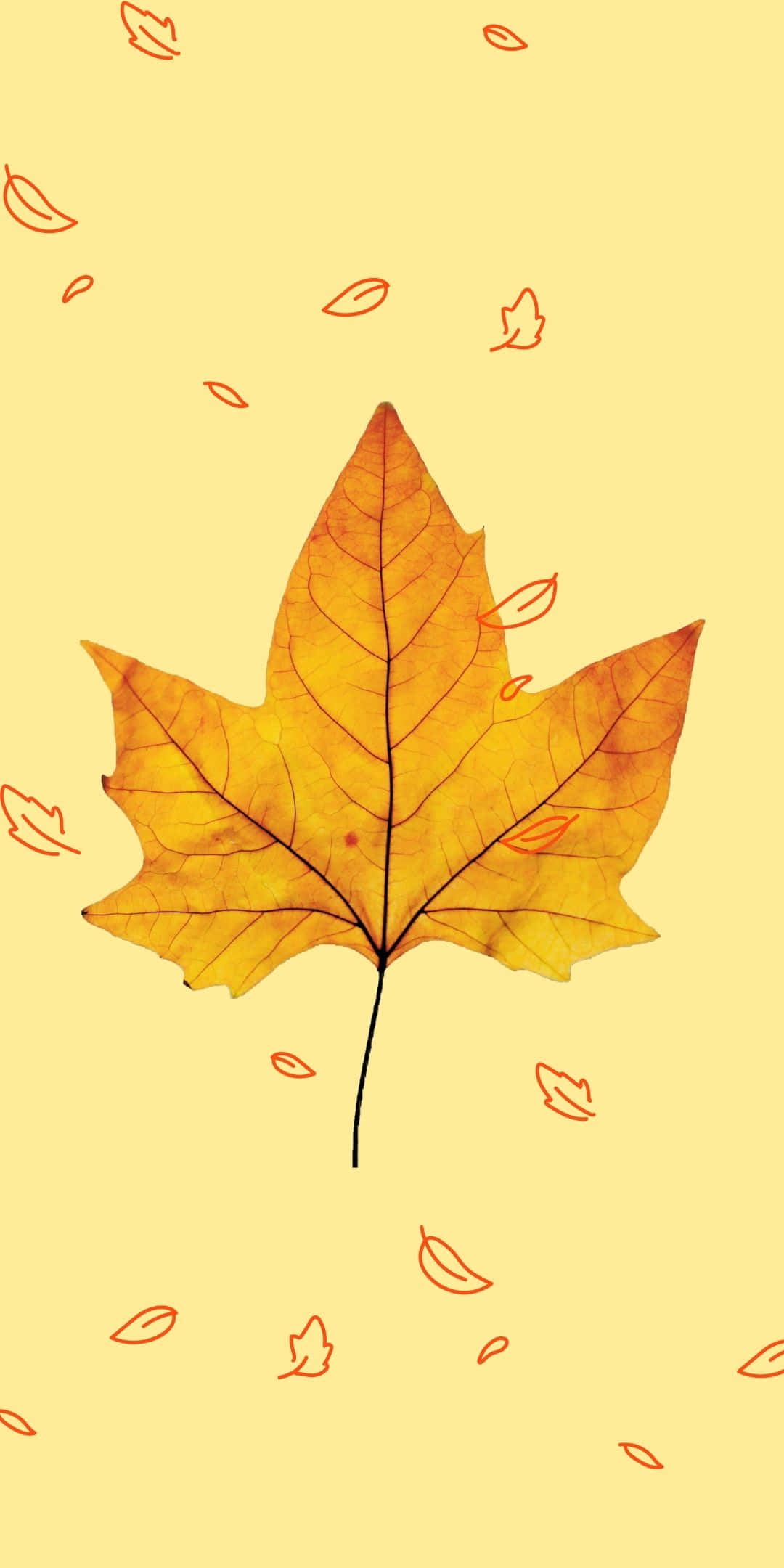 Android Autumn 桌布 壁紙 — 一片鮮豔的橙色楓葉，帶有細緻的葉脈，漂浮在淡黃色背景上，背景散落著精緻的紅色葉子輪廓。