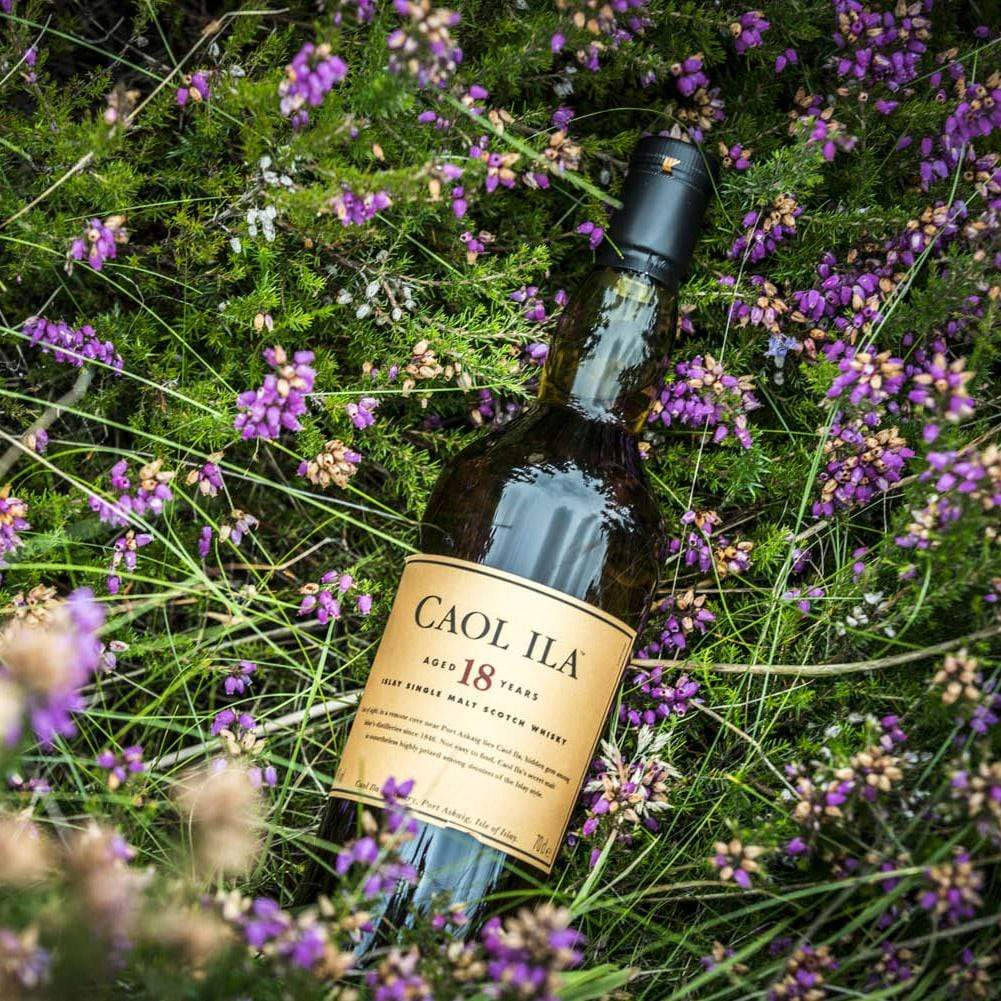 alcohol 桌布 壁紙 — 一瓶 Caol Ila 18 年單一麥芽威士忌，在自然環境中安放在鮮豔的紫色石楠花和綠草之間。