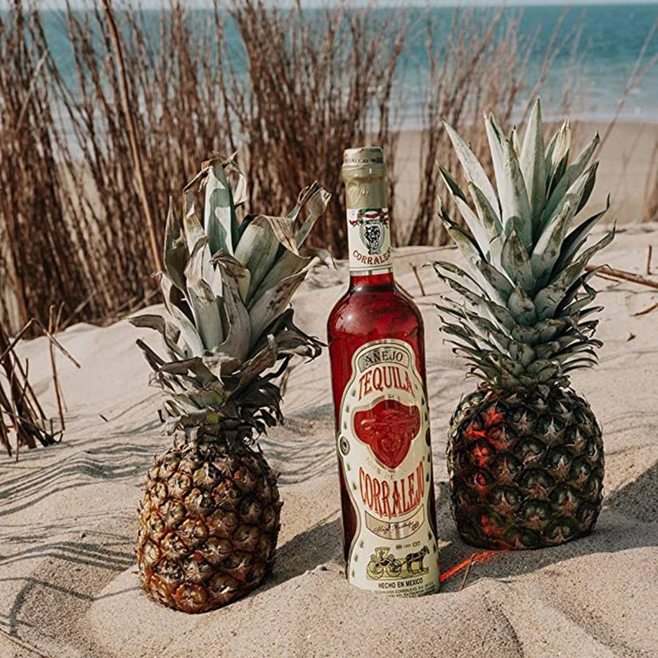 bottle 桌布 壁紙 — 一瓶 Corralejo 龍舌蘭酒放在兩個鳳梨之間，背景是陽光明媚的沙灘、海洋和乾燥的蘆葦。