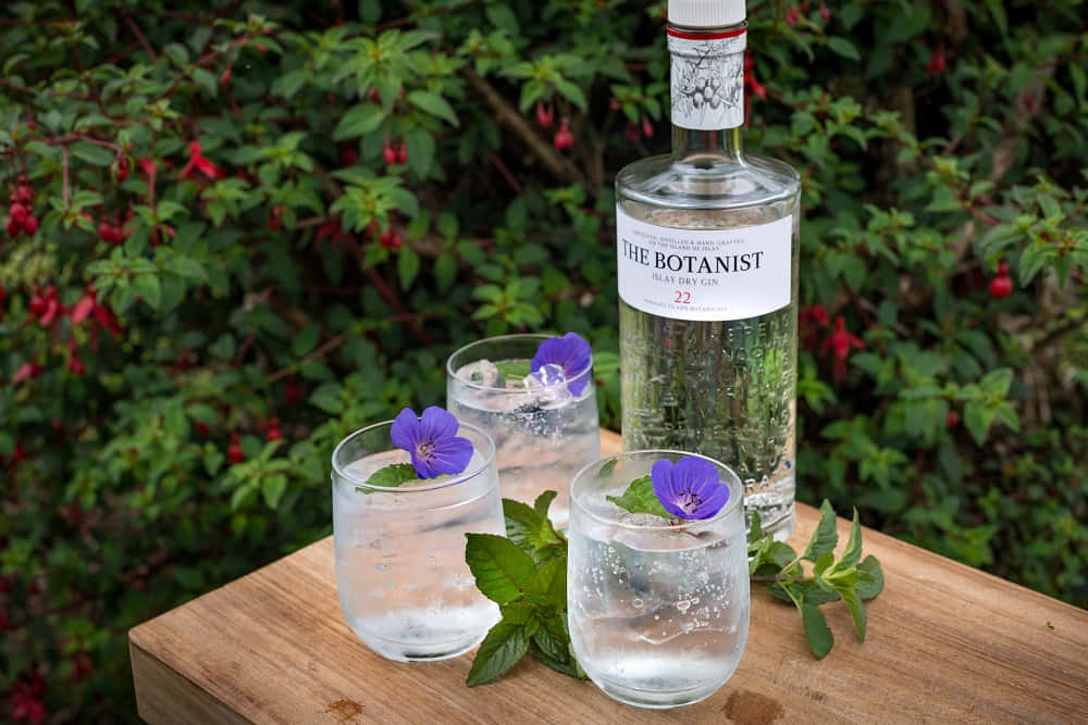 alcohol 桌布 壁紙 — 一瓶 The Botanist 琴酒和兩杯裝飾好的琴酒雞尾酒放在一張木桌上，周圍是茂密的綠植和紅花。
