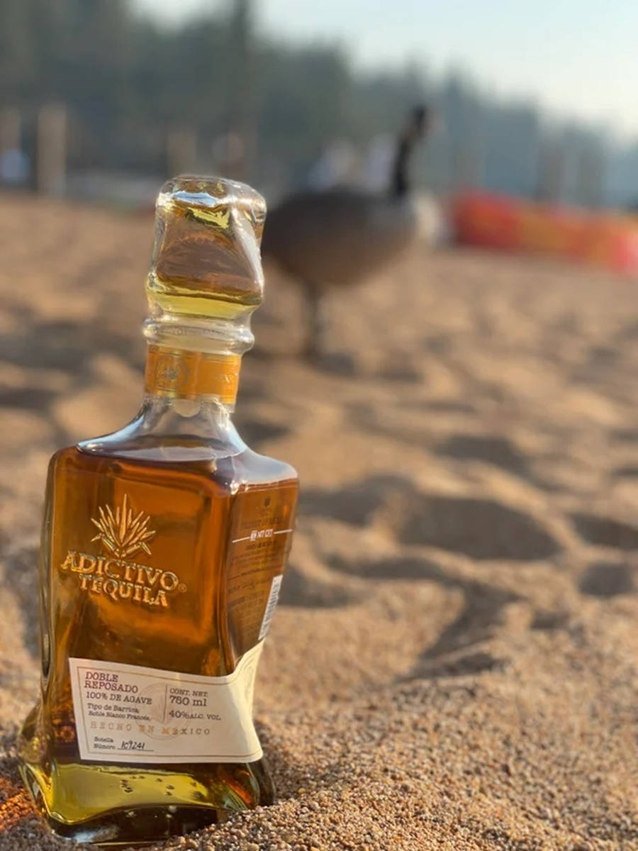 筆電 桌布 壁紙 — 一瓶Adictivo Tequila放在溫暖的沙子上，一隻鵝在模糊的背景中走過，沐浴在金色的陽光下。