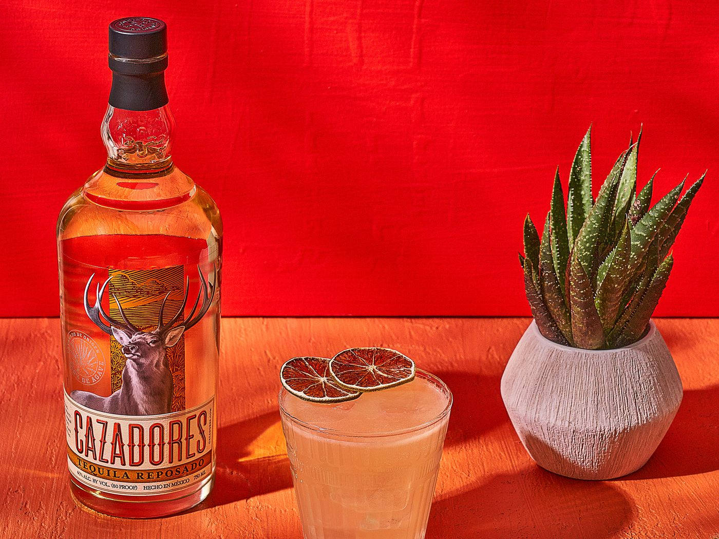 飲料 桌布 壁紙 — 一瓶Cazadores reposado龍舌蘭酒和一杯以柑橘片裝飾的雞尾酒，旁邊放著一盆多肉植物，背景是鮮豔的紅色。
