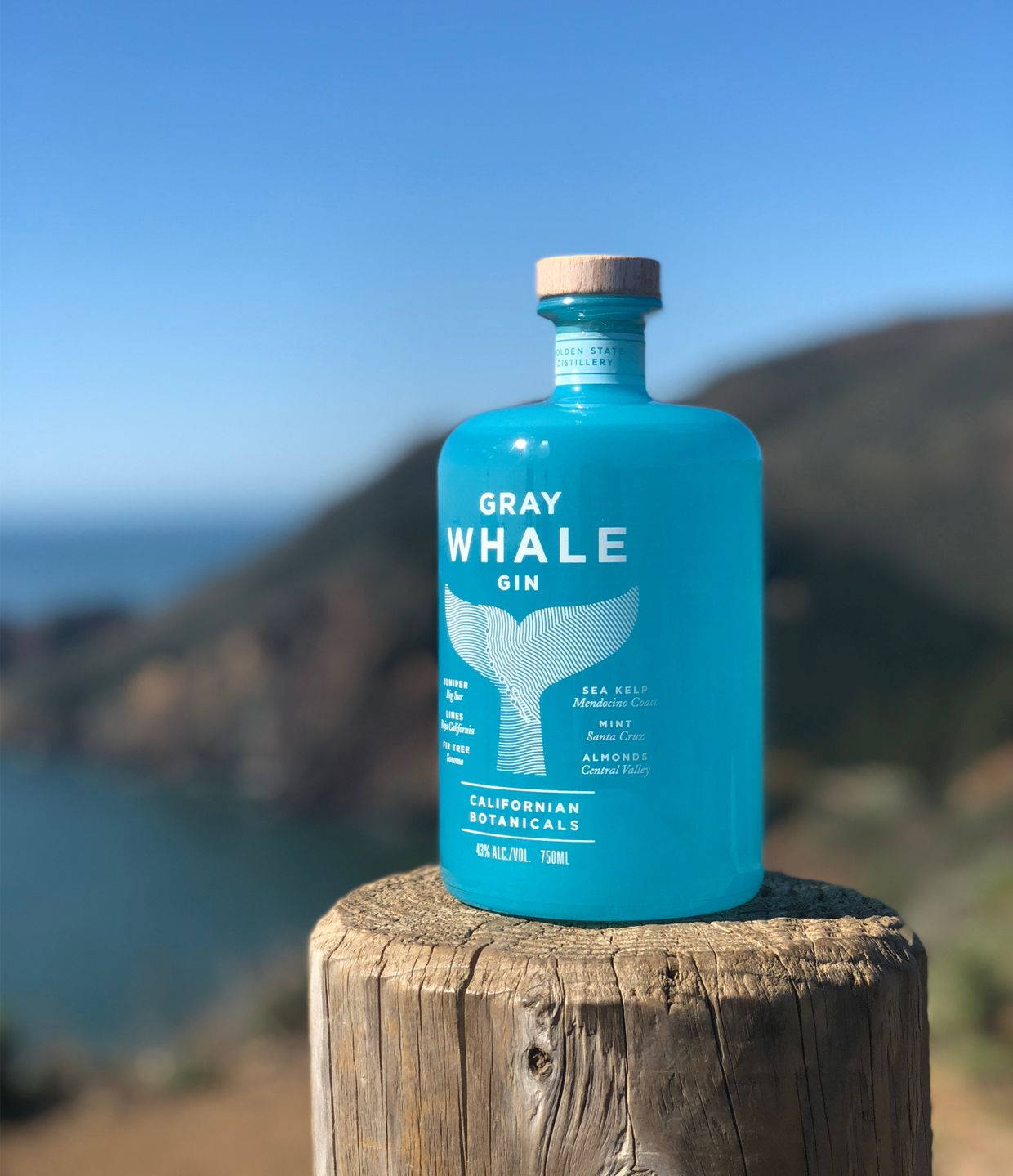 Gin 桌布 壁紙 — 一瓶充滿活力的藍綠色琴酒瓶，標籤為 Gray Whale Gin，放在一根風化的木柱上，背景是模糊的海岸風光。