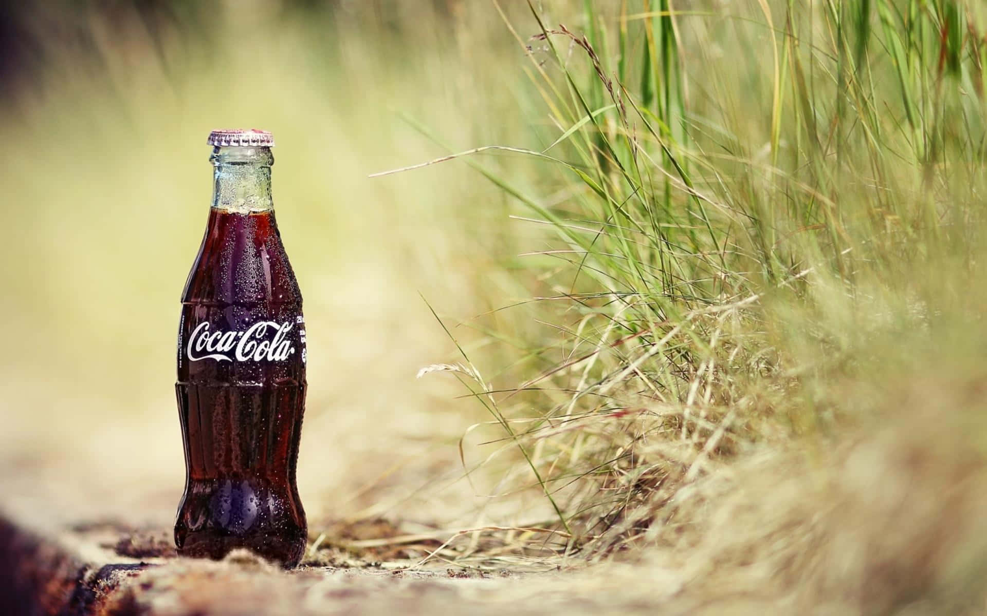 coca cola 桌布 壁紙 — 一瓶冰涼的可口可樂在陽光照耀的泥土小徑上，旁邊有高高的金色草，凝結的水珠閃閃發光。
