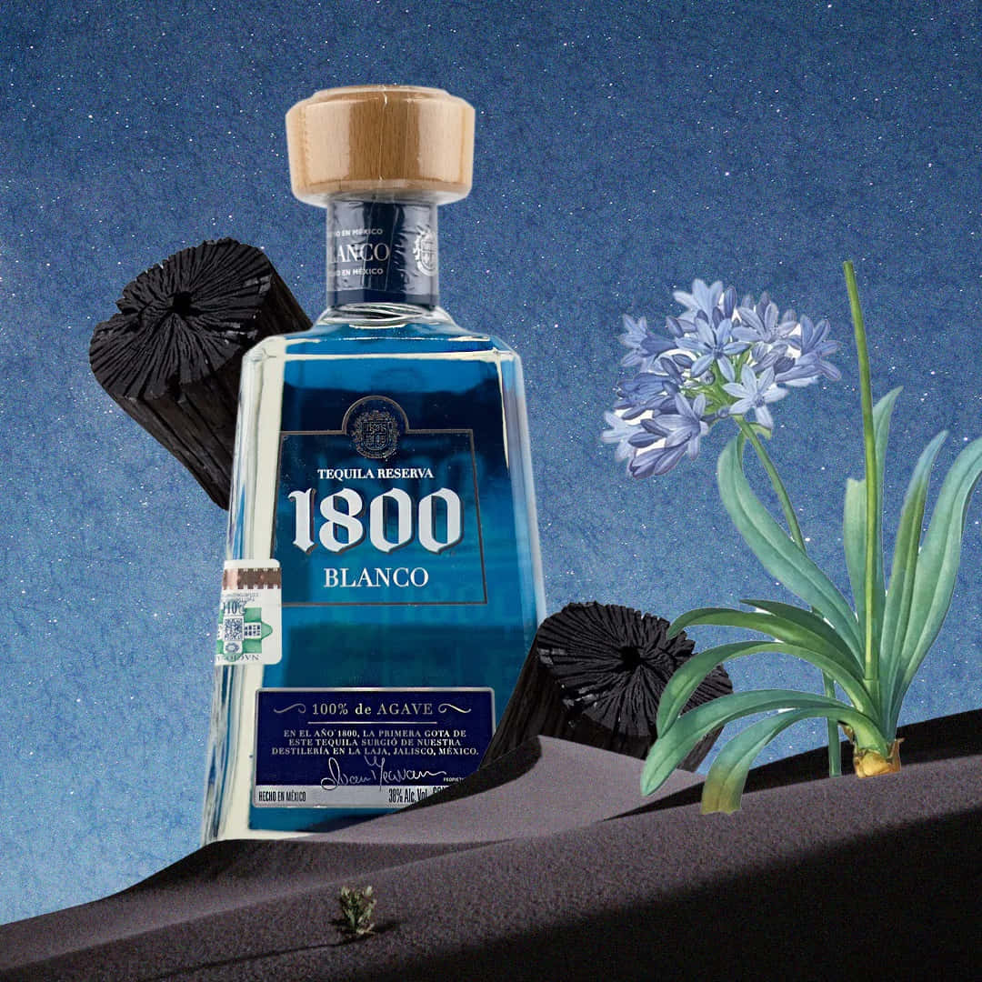 alcohol 桌布 壁紙 — 一瓶標有1800 Blanco的藍色龍舌蘭酒瓶放在黑暗的沙丘上，在星空下，旁邊有龍舌蘭植物和紫色花朵。