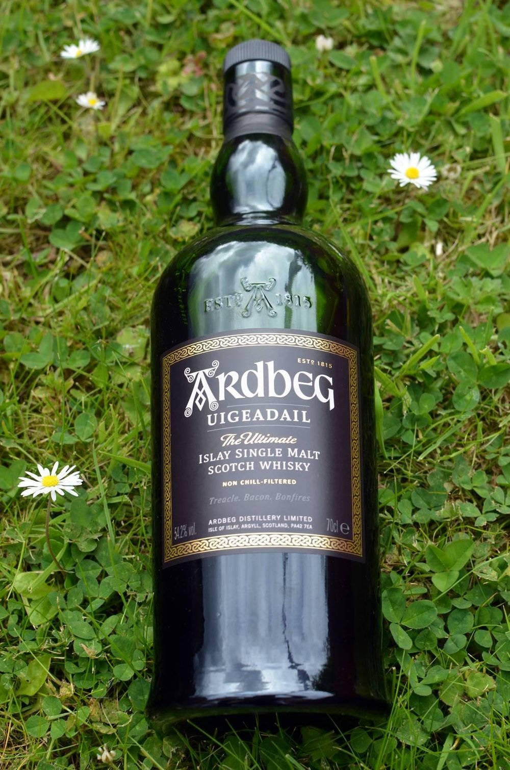 drinks 桌布 壁紙 — 一瓶深色玻璃瓶裝的 Ardbeg Uigeadail 威士忌直立於點綴著白色雛菊的鮮綠草地上。