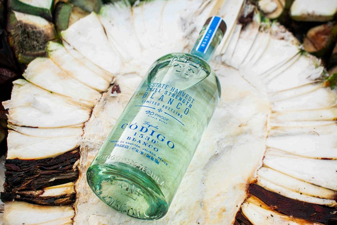 bottle 桌布 壁紙 — 一瓶清澈的 Codigo 1530 Blanco 龍舌蘭酒放在一片切開的龍舌蘭植物上，露出其纖維核心。