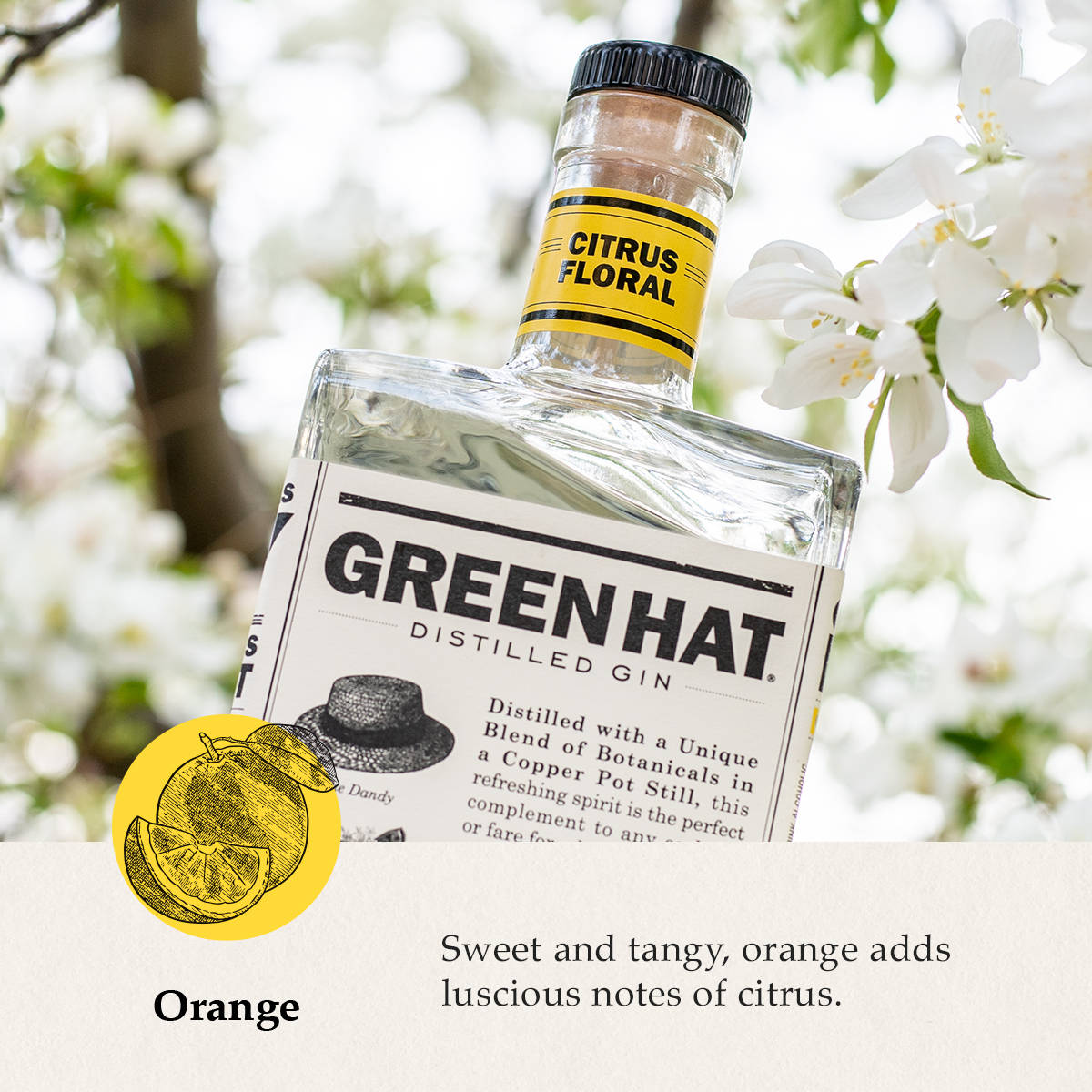 Gin 桌布 壁紙 — 一瓶清澈的 Green Hat Citrus Floral 琴酒放置在白色開花的樹枝之間，帶有黃色柑橘圖案和突出橙香氣的文字。